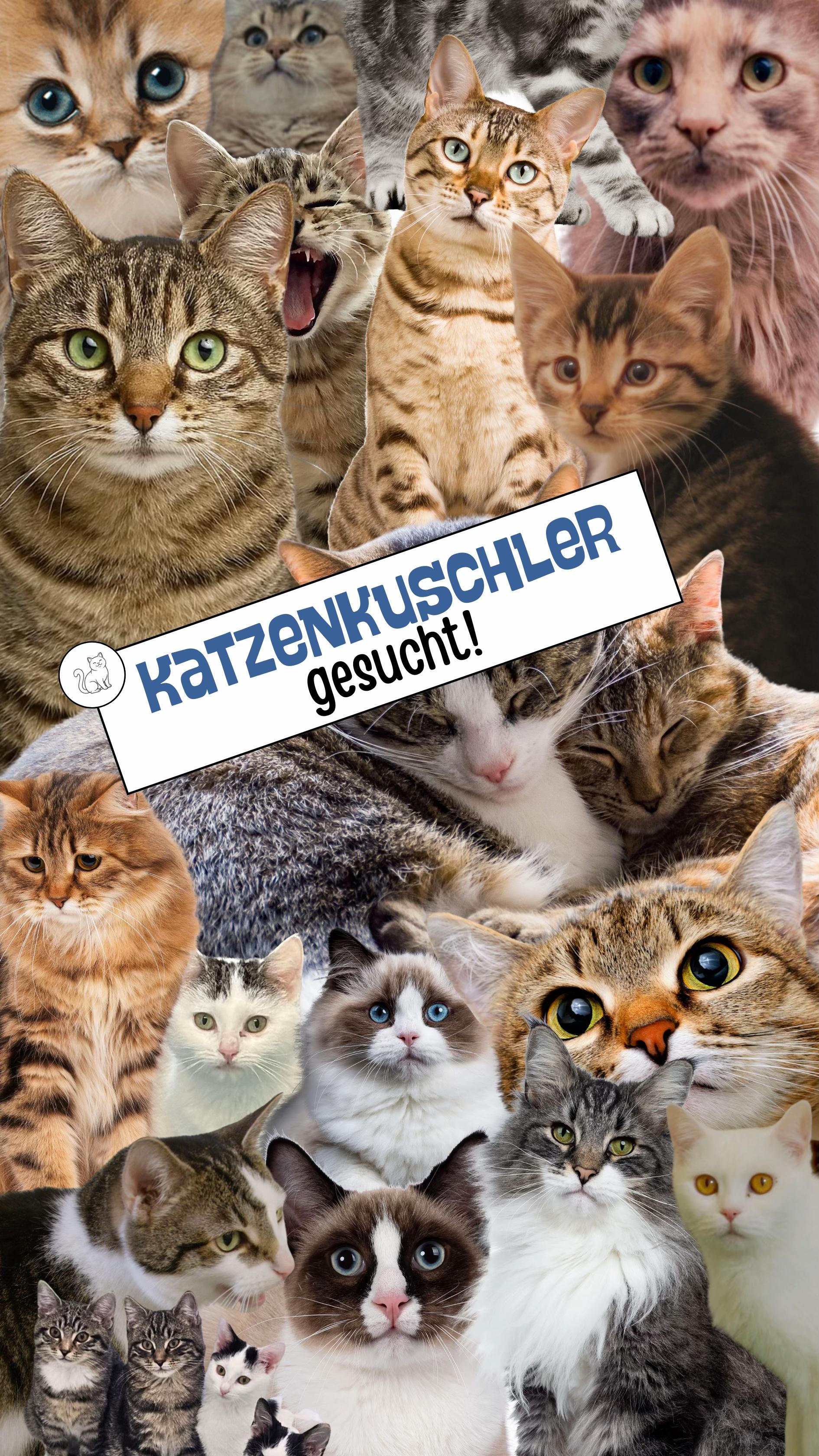 @Tierheim_Bremerhaven