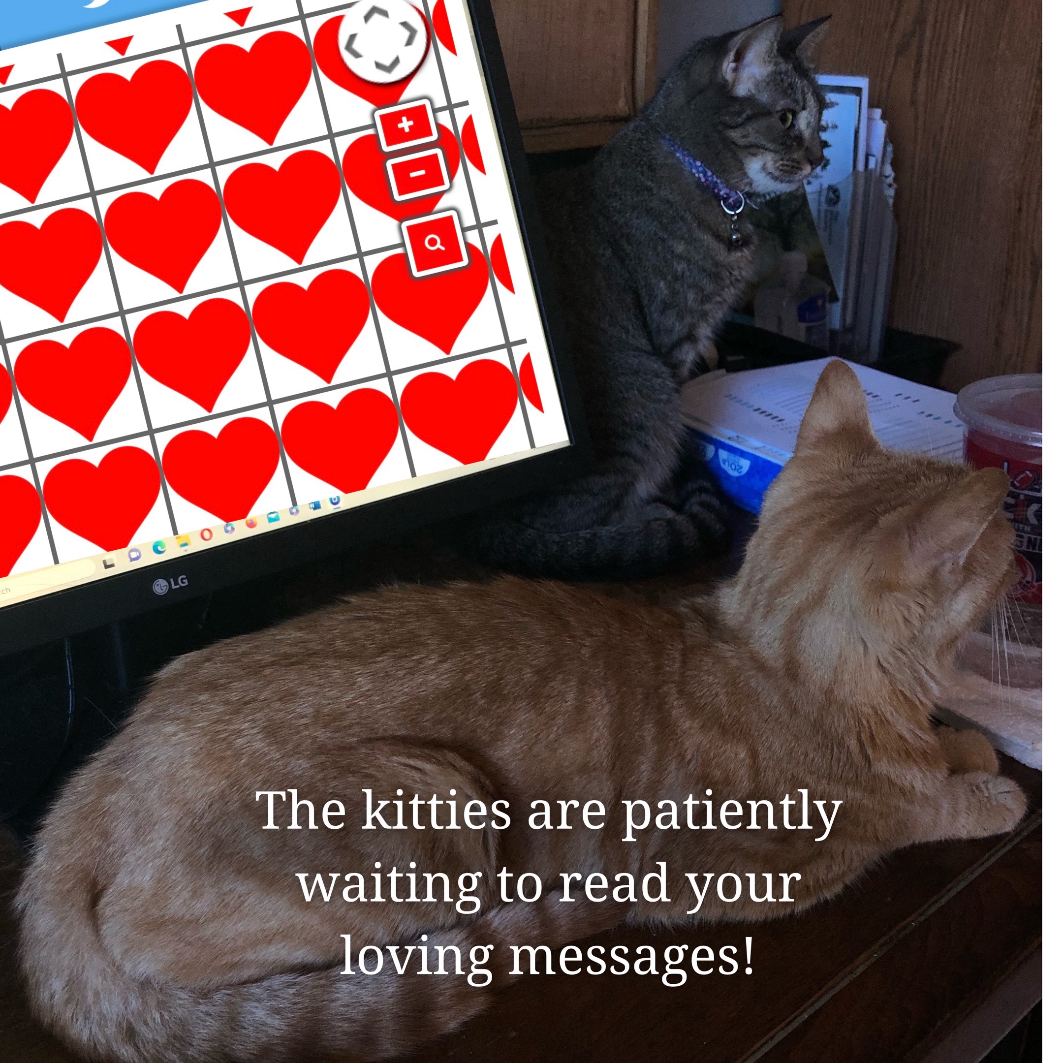 @Adoptacatinc