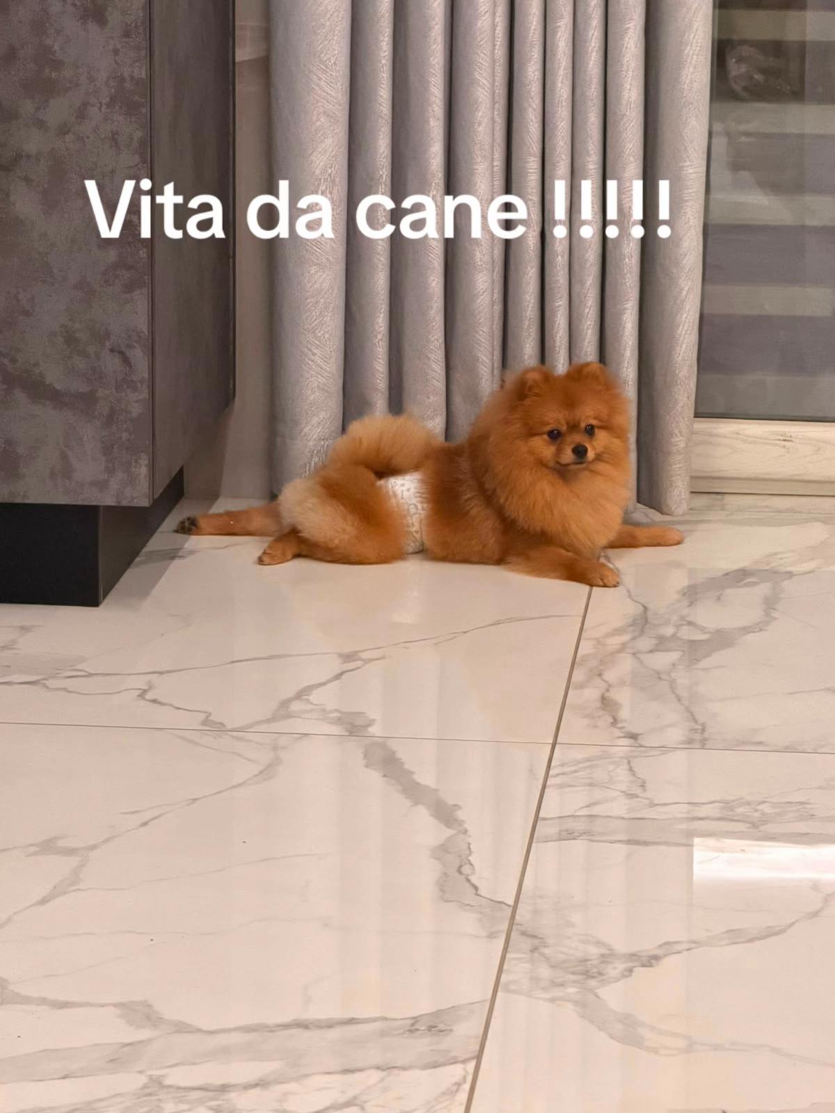 @Pasquale La Mura