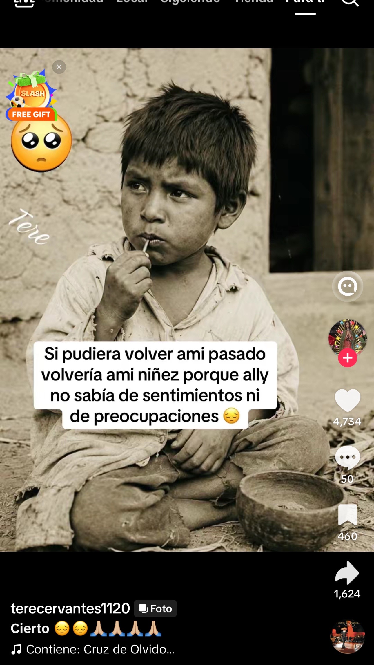@Elgatoparado-05