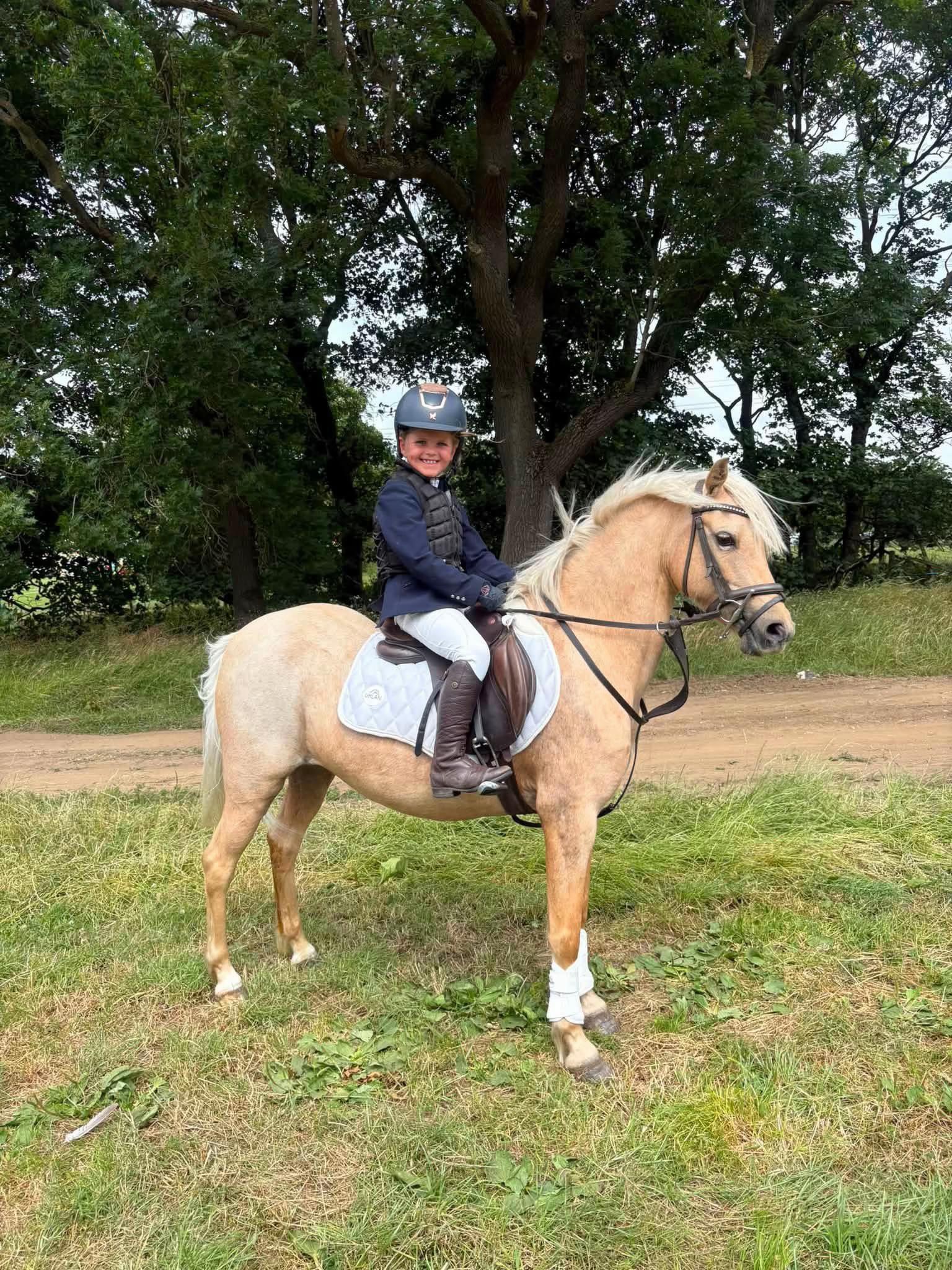 @Uhlan Equestrian