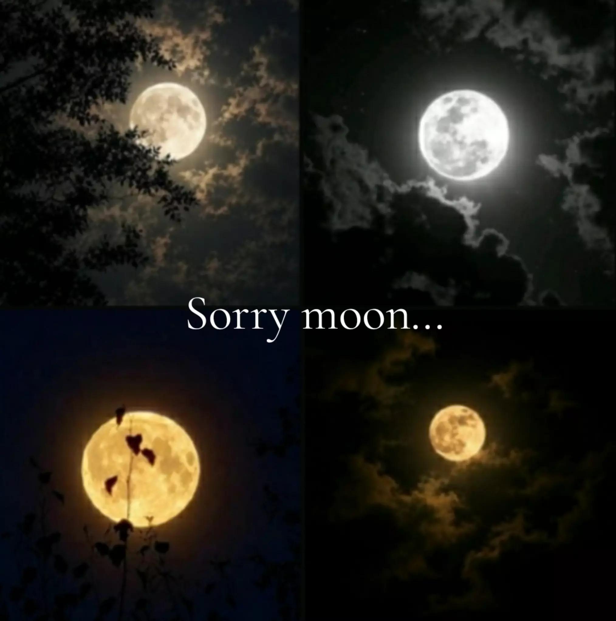 @~Solashi~