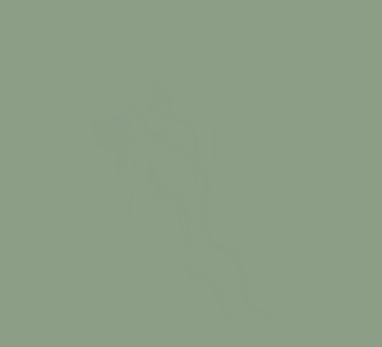 @𝜗 🍋 𑇓 ݁₊ 𝐈𝐕𝐘 ᵎᵎ ᰍ 🐆⸝⸝