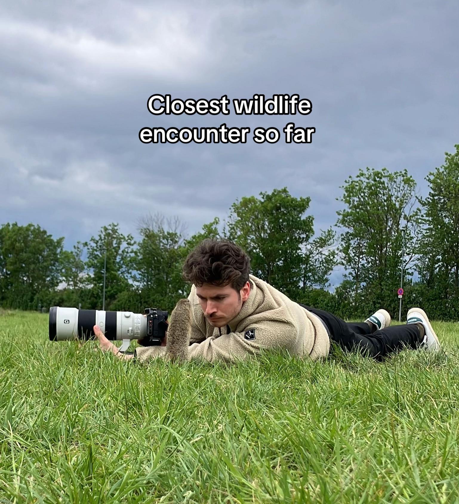 @robinswildlife