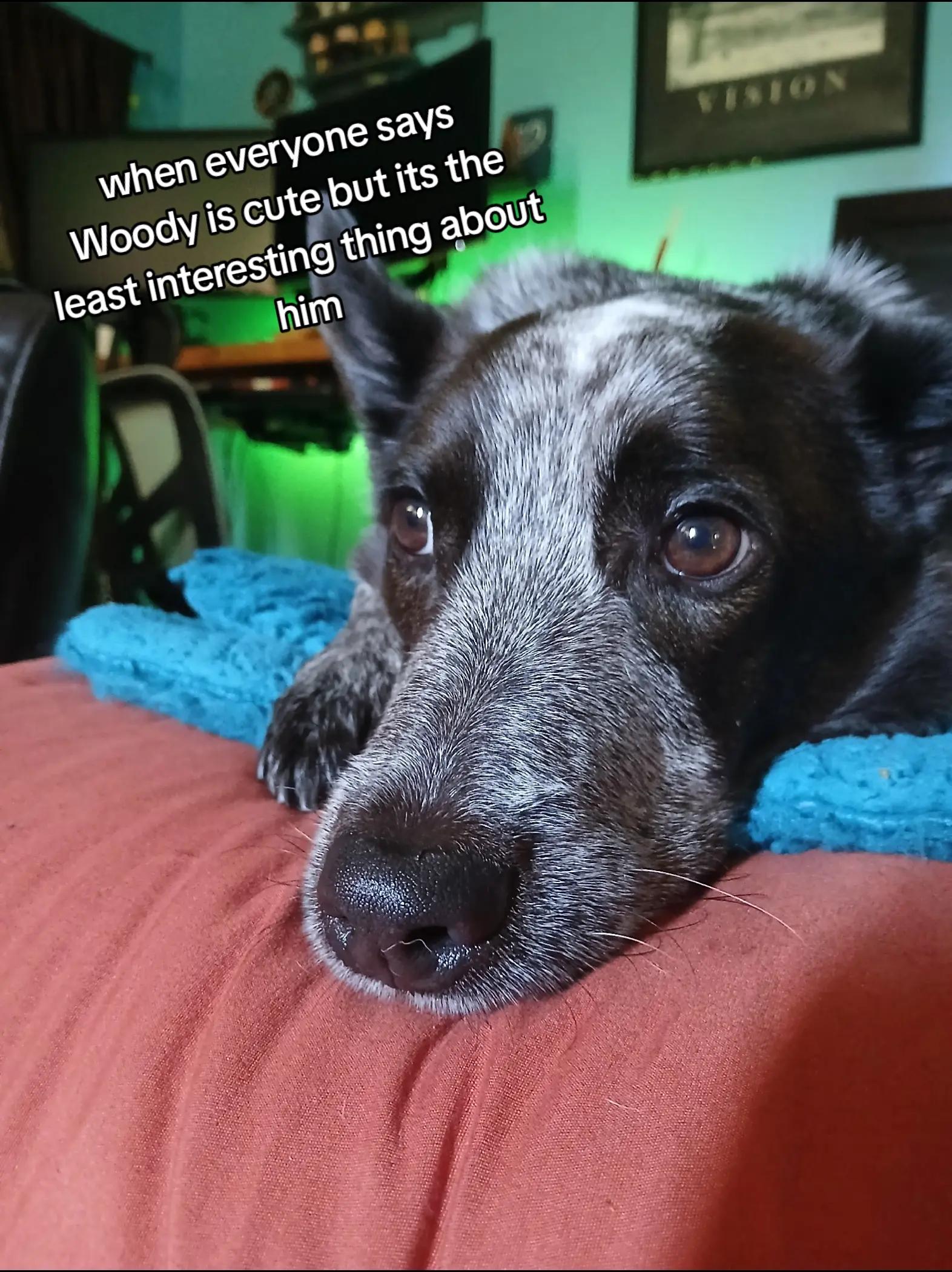 @wonderland_wanders