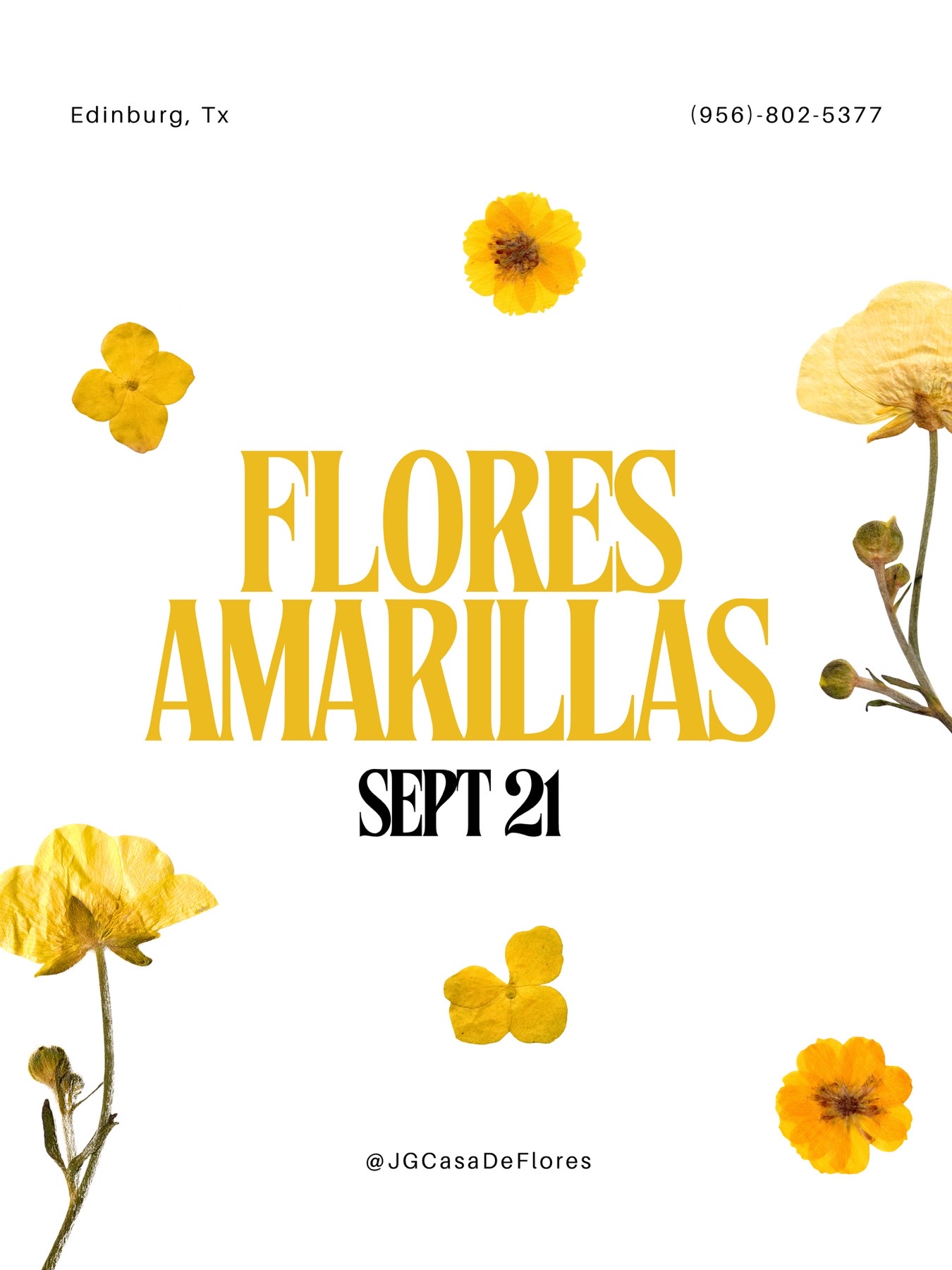 @jgcasadeflores