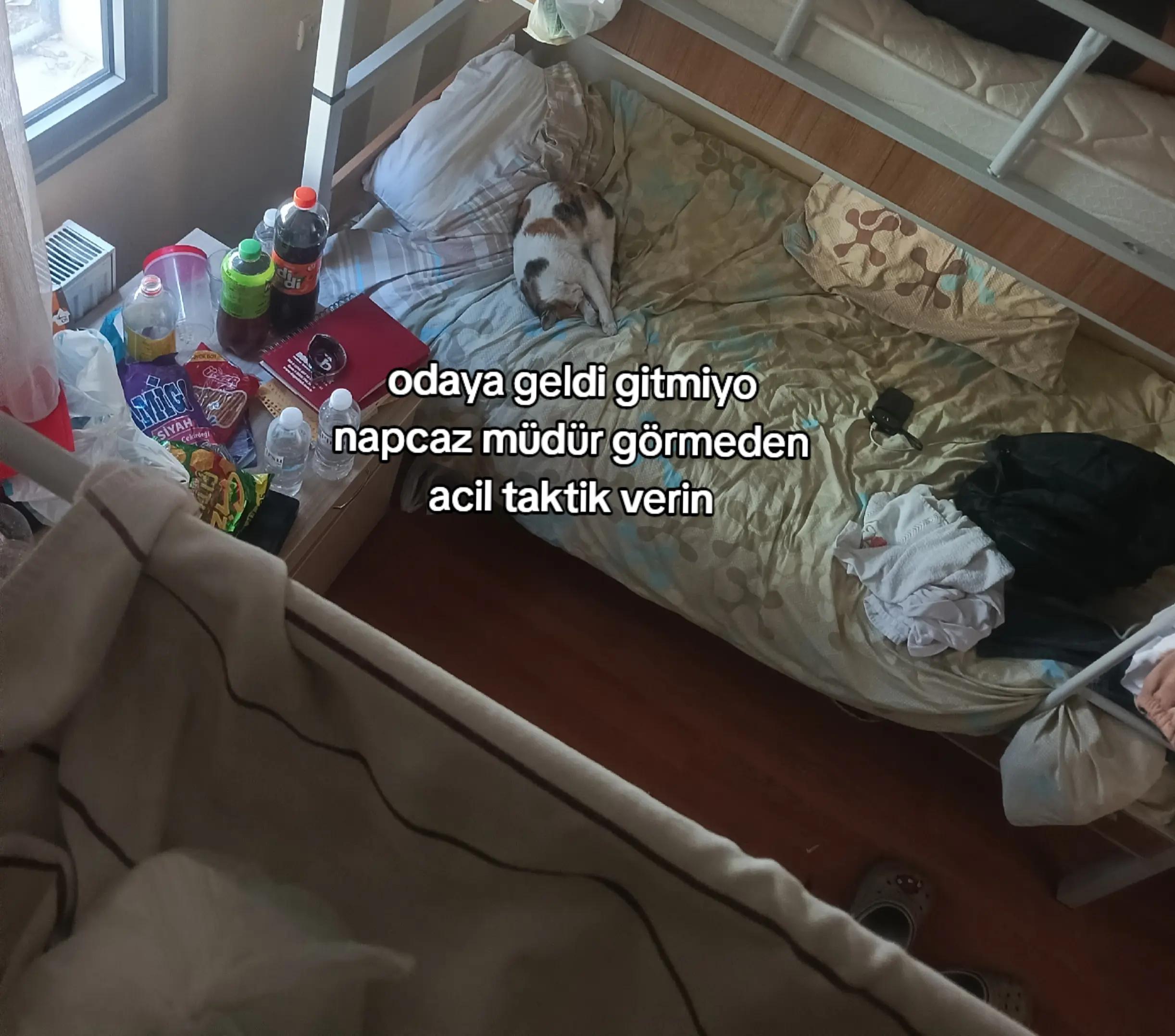 @tayt yırtan