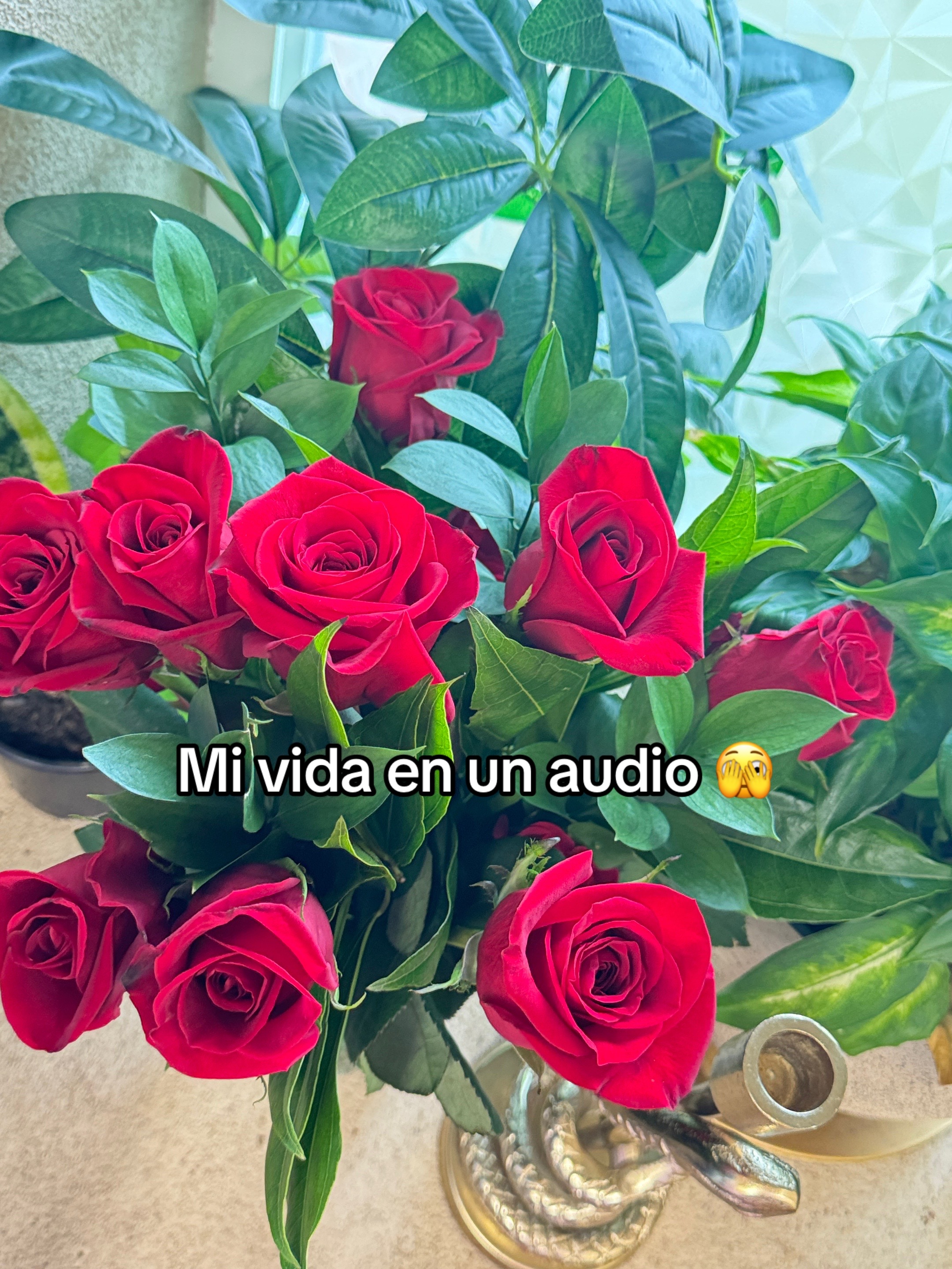 @indirectas bien directas ๐