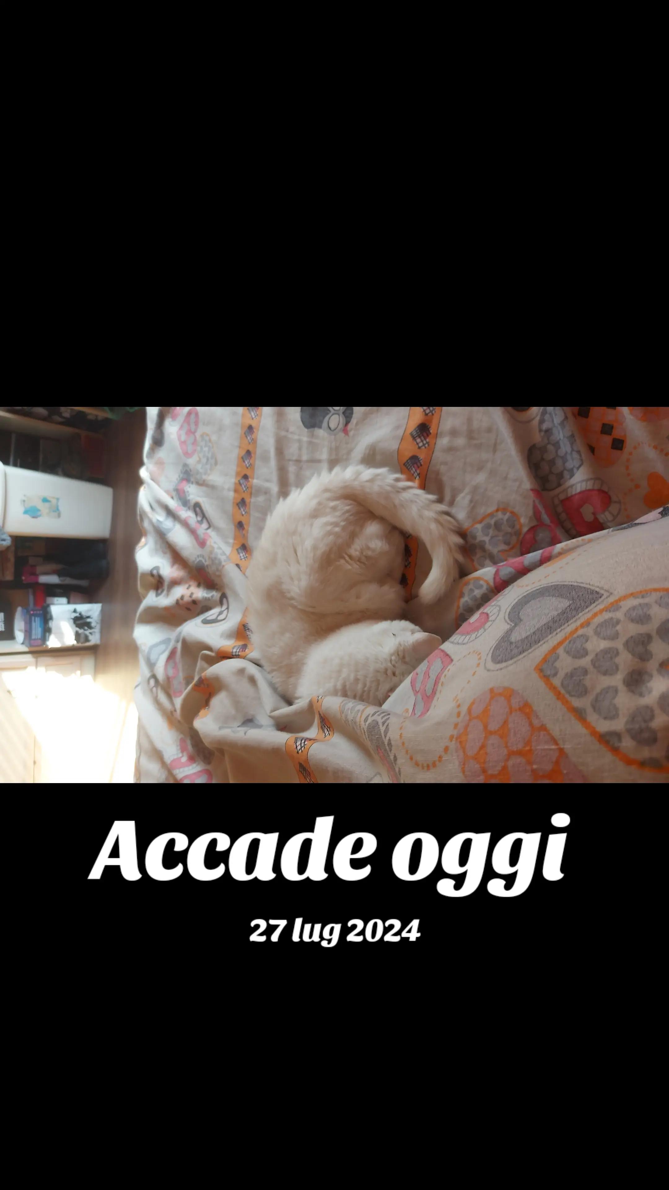 @HellBunny