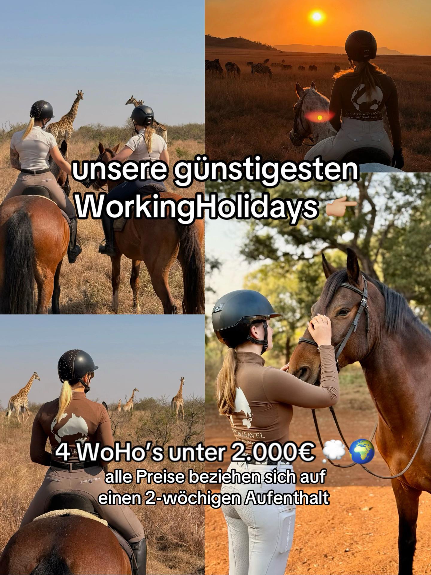 @Hoof & Travel 🐴🌍🐘