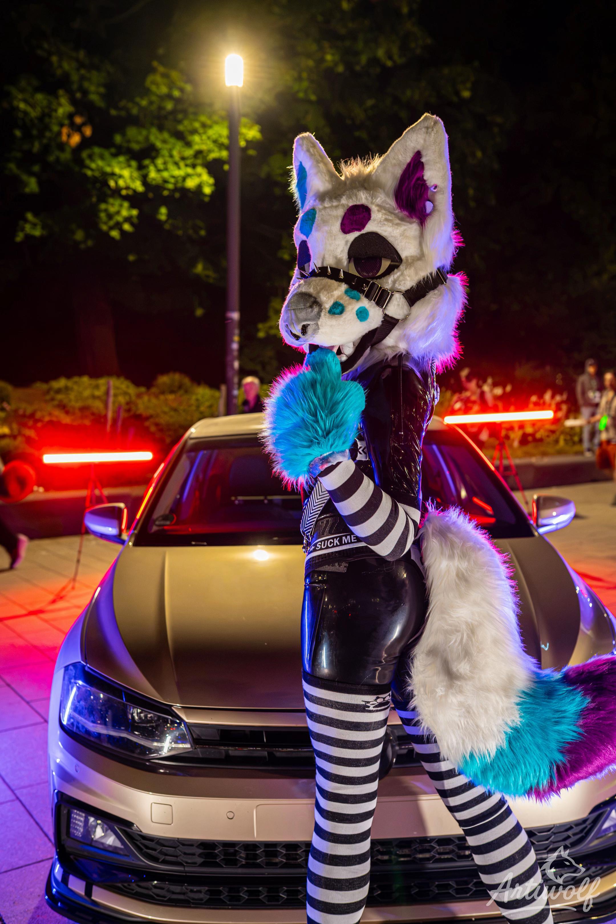 @✨Nekura the Fox✨