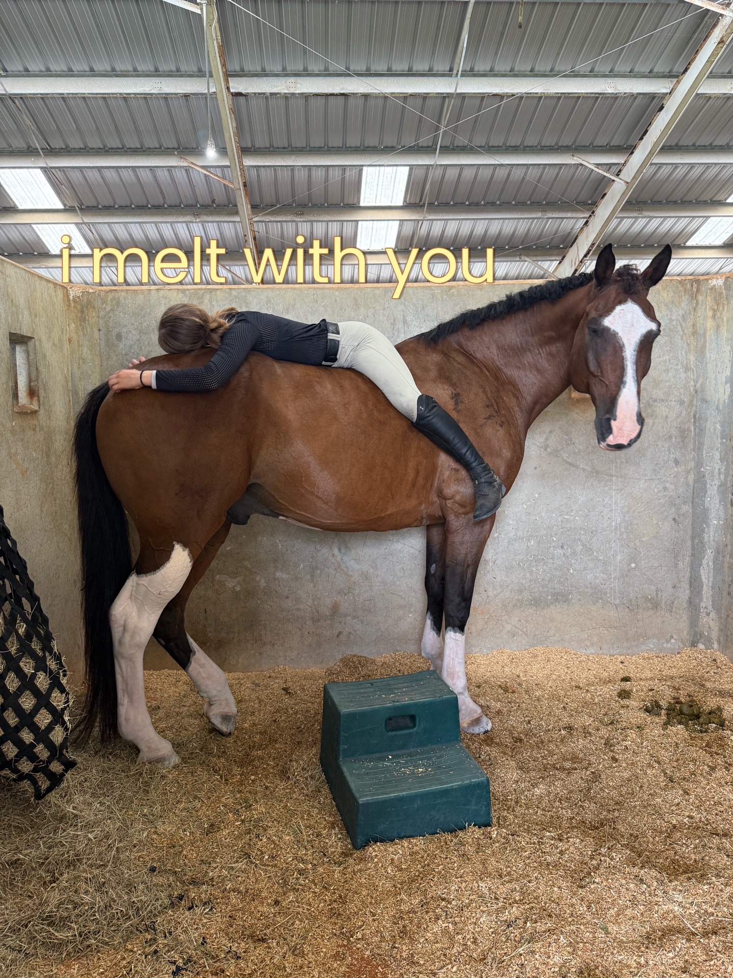 @.ktm.equestrian