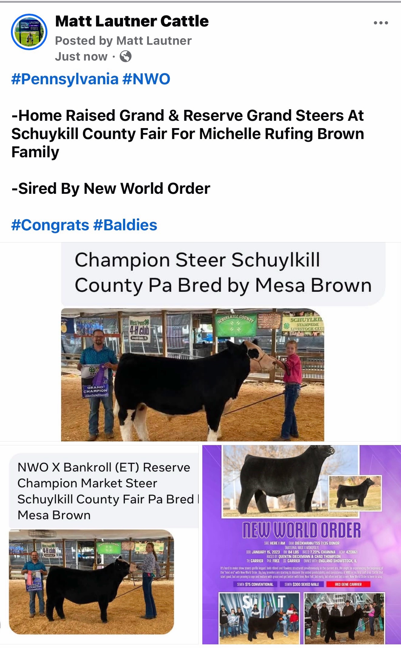 @Matt Lautner Cattle USA