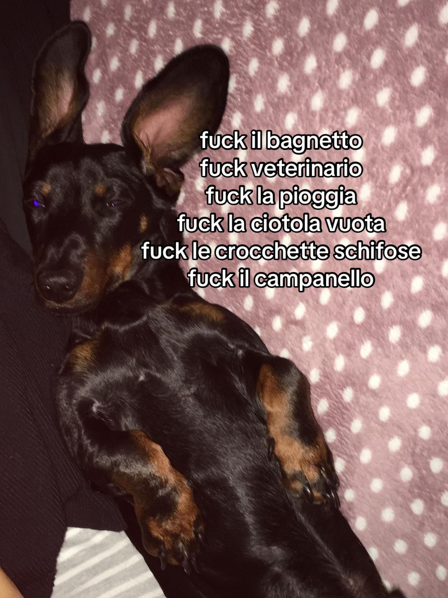 @zzofi 🥱