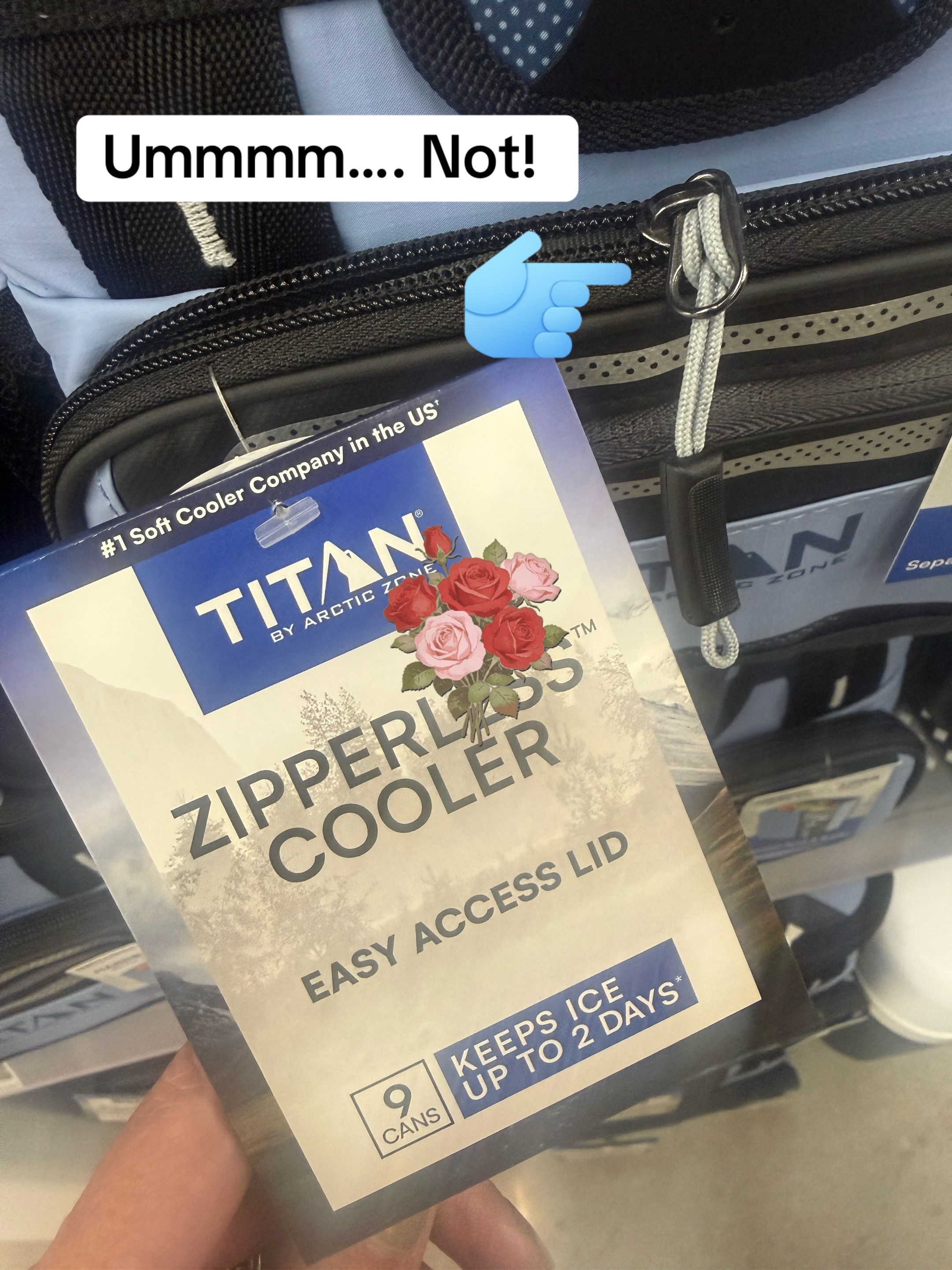 @TheTravelingAuthor