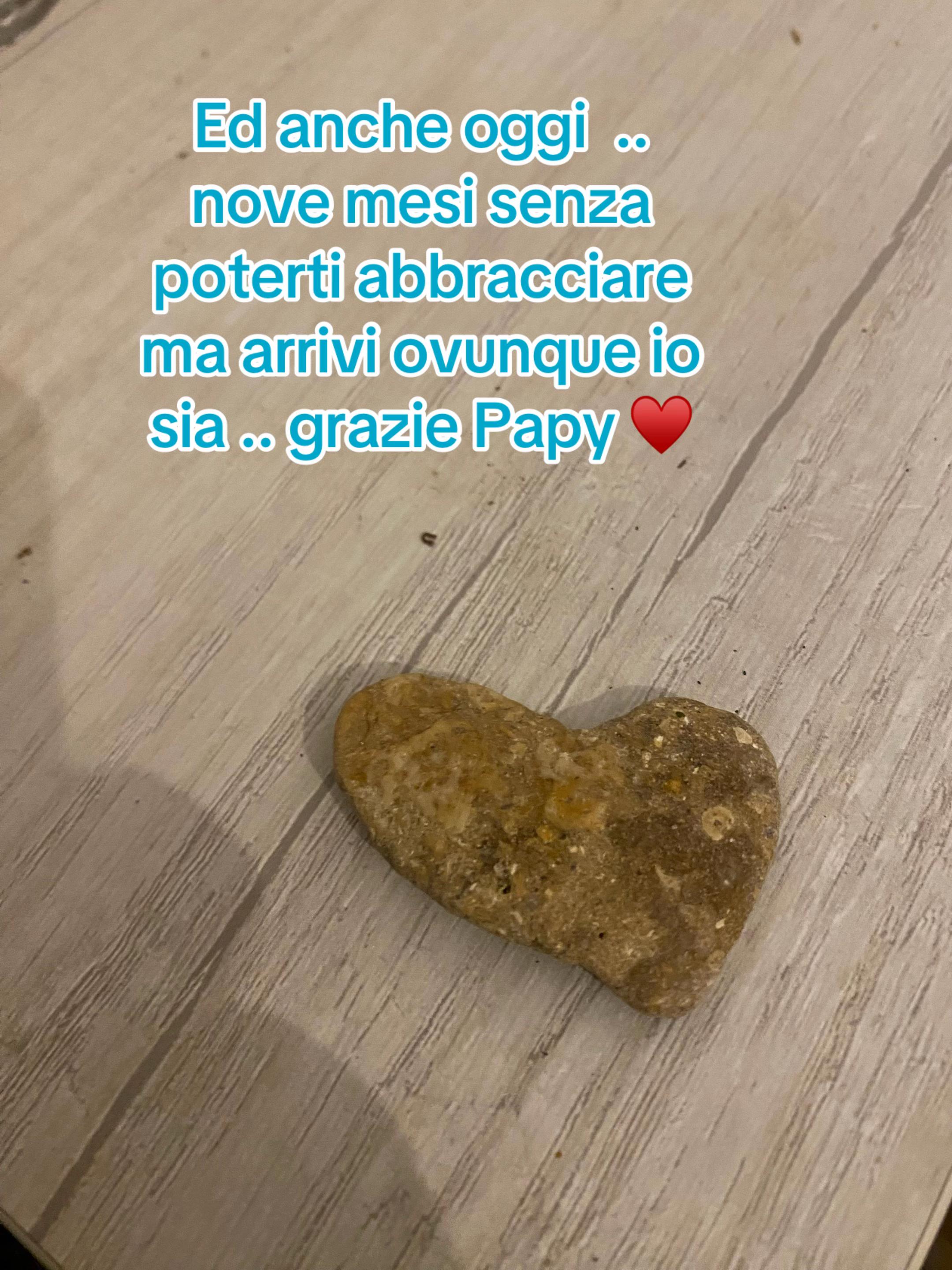 @Manumanufrau66
