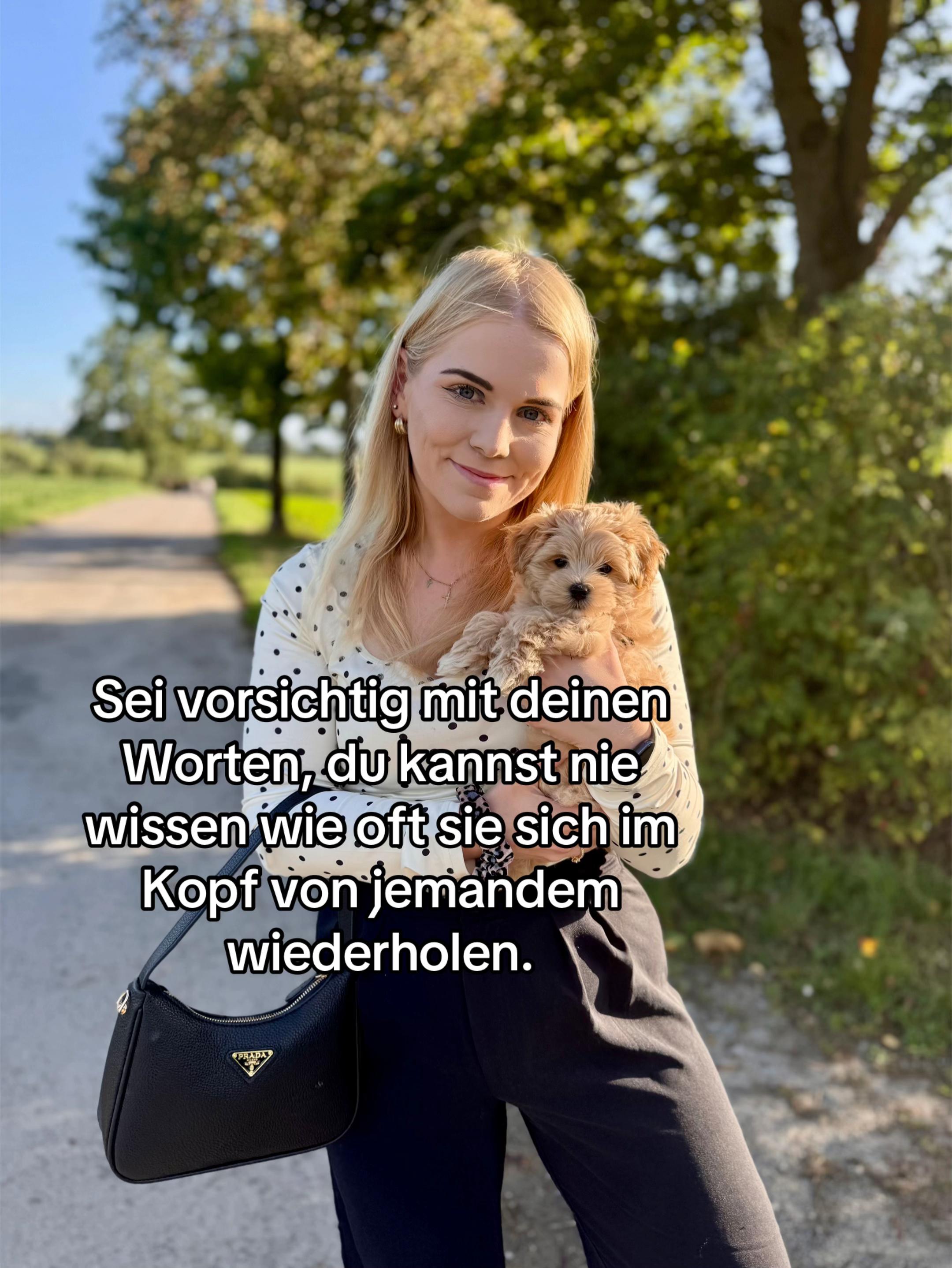 @xsinasch