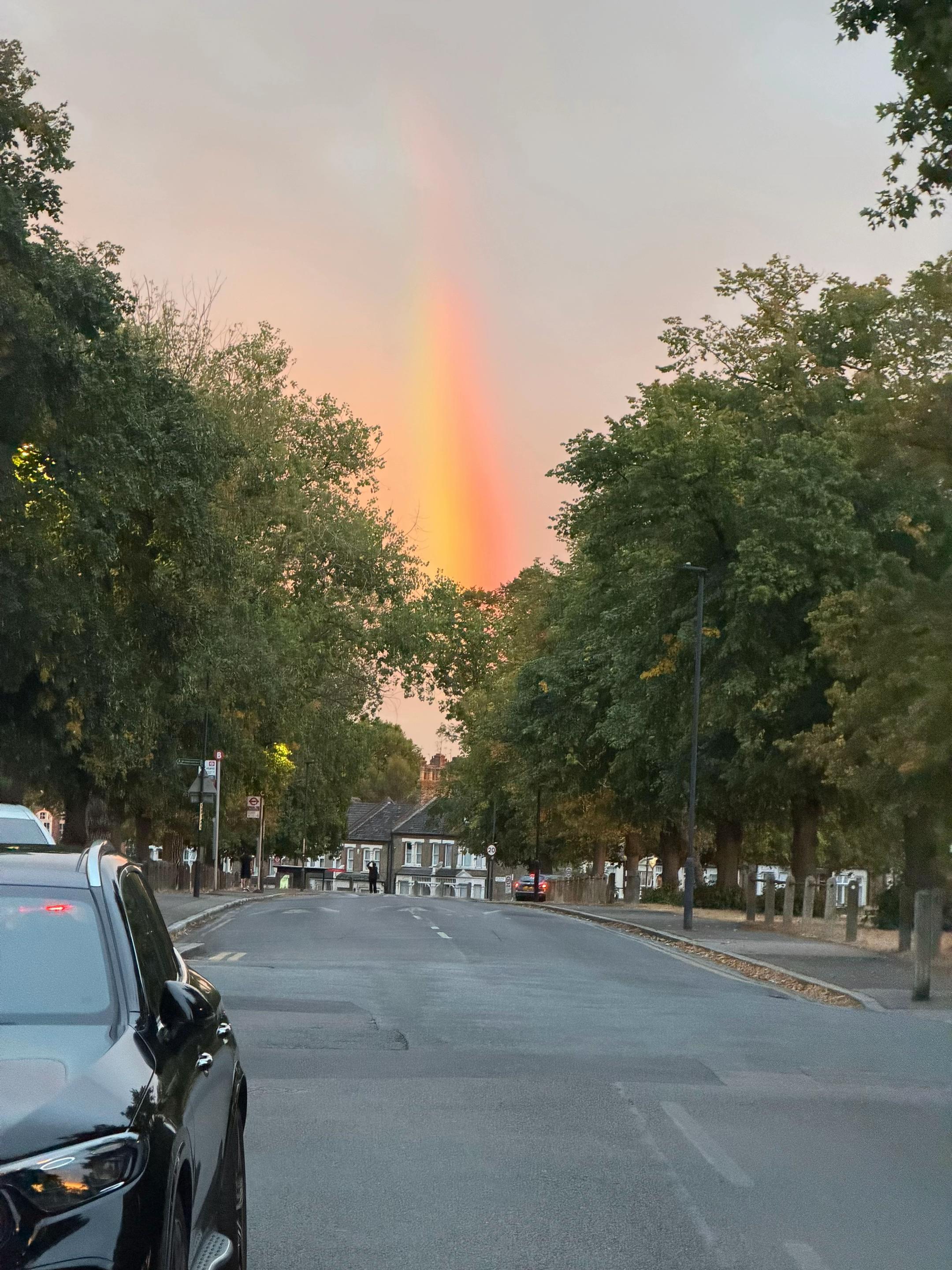 @Cygnet Committee