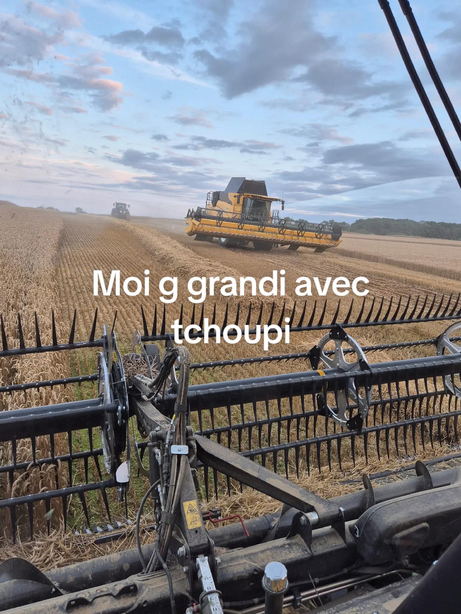 @Julien