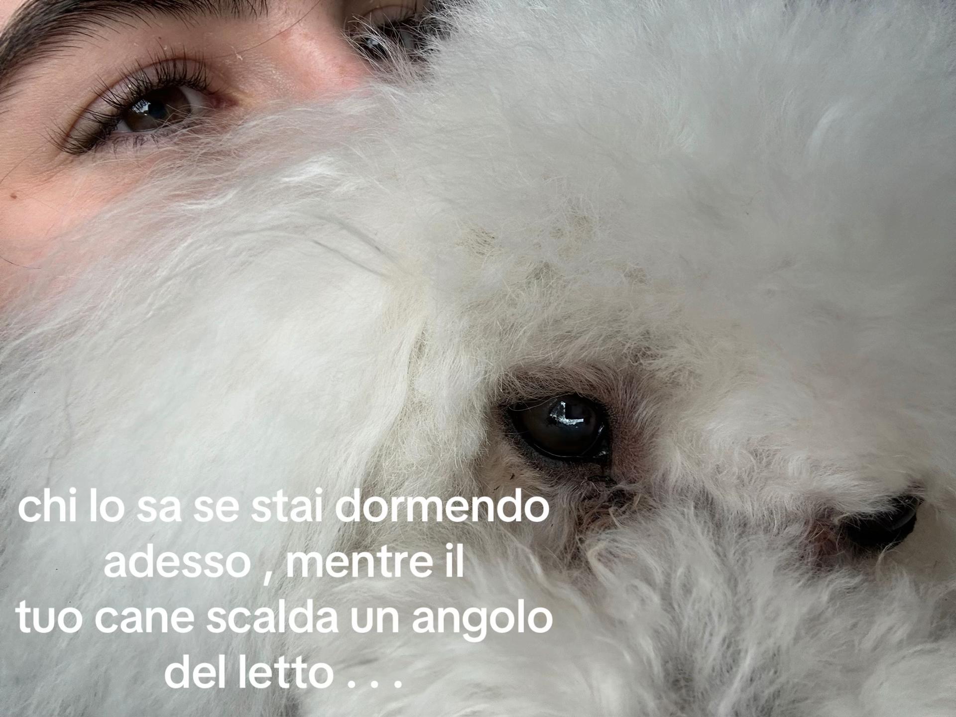 @beaaa