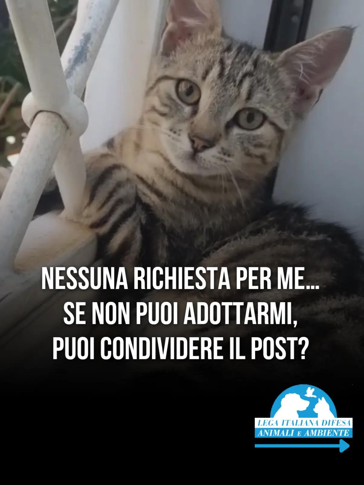 @LEIDAA