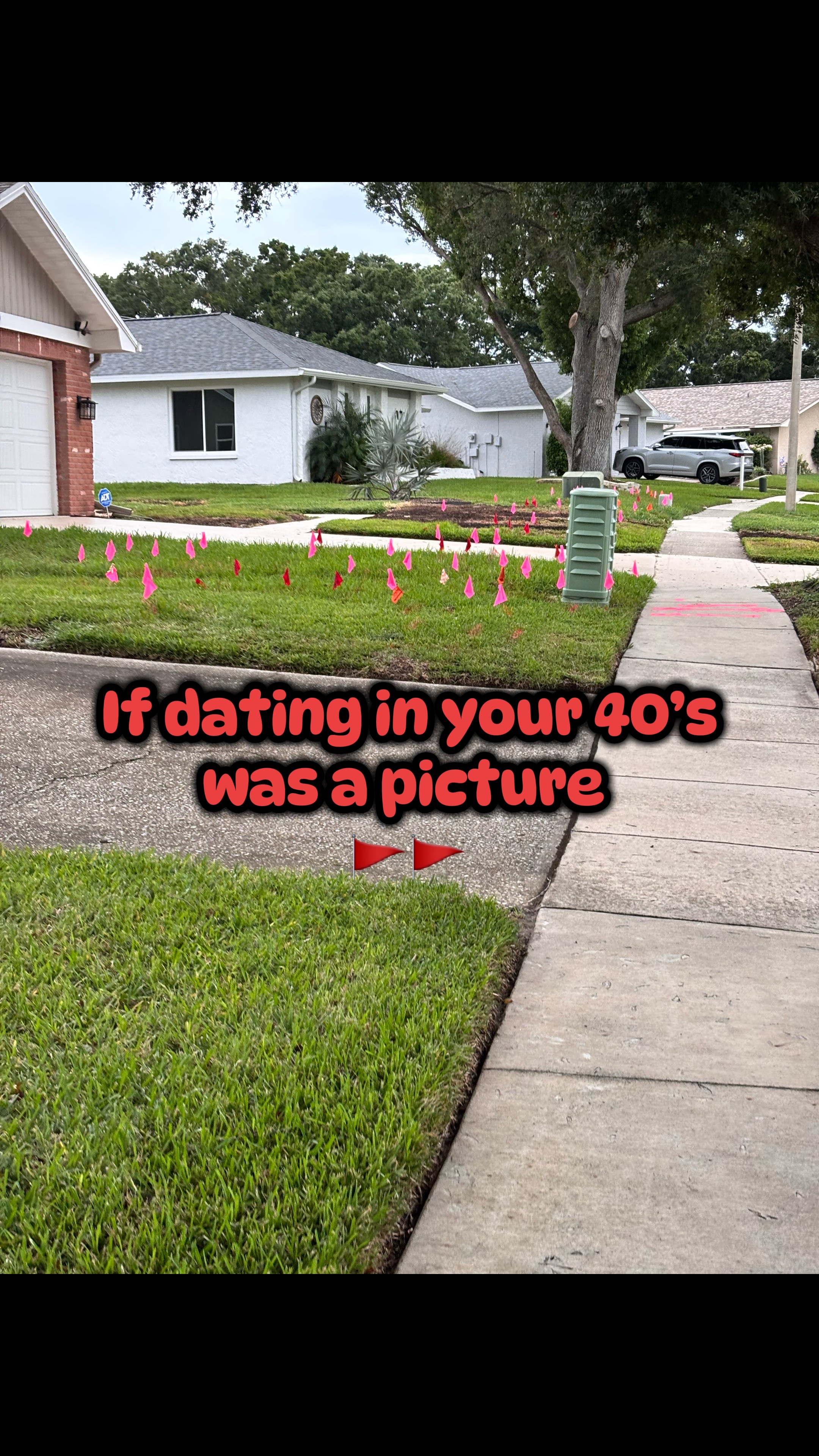 @Michelle 🪩