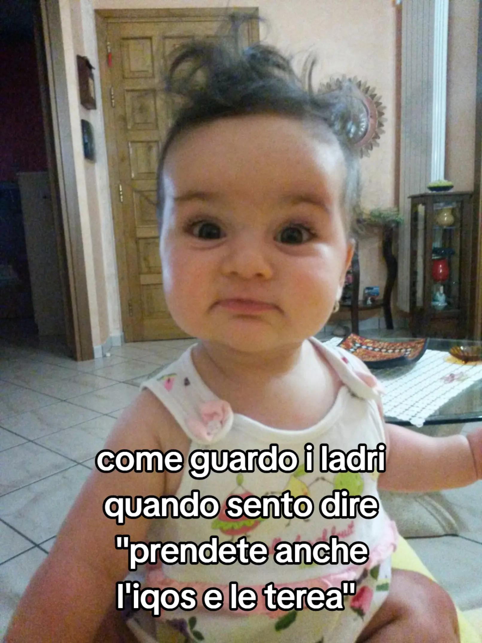 @fedd