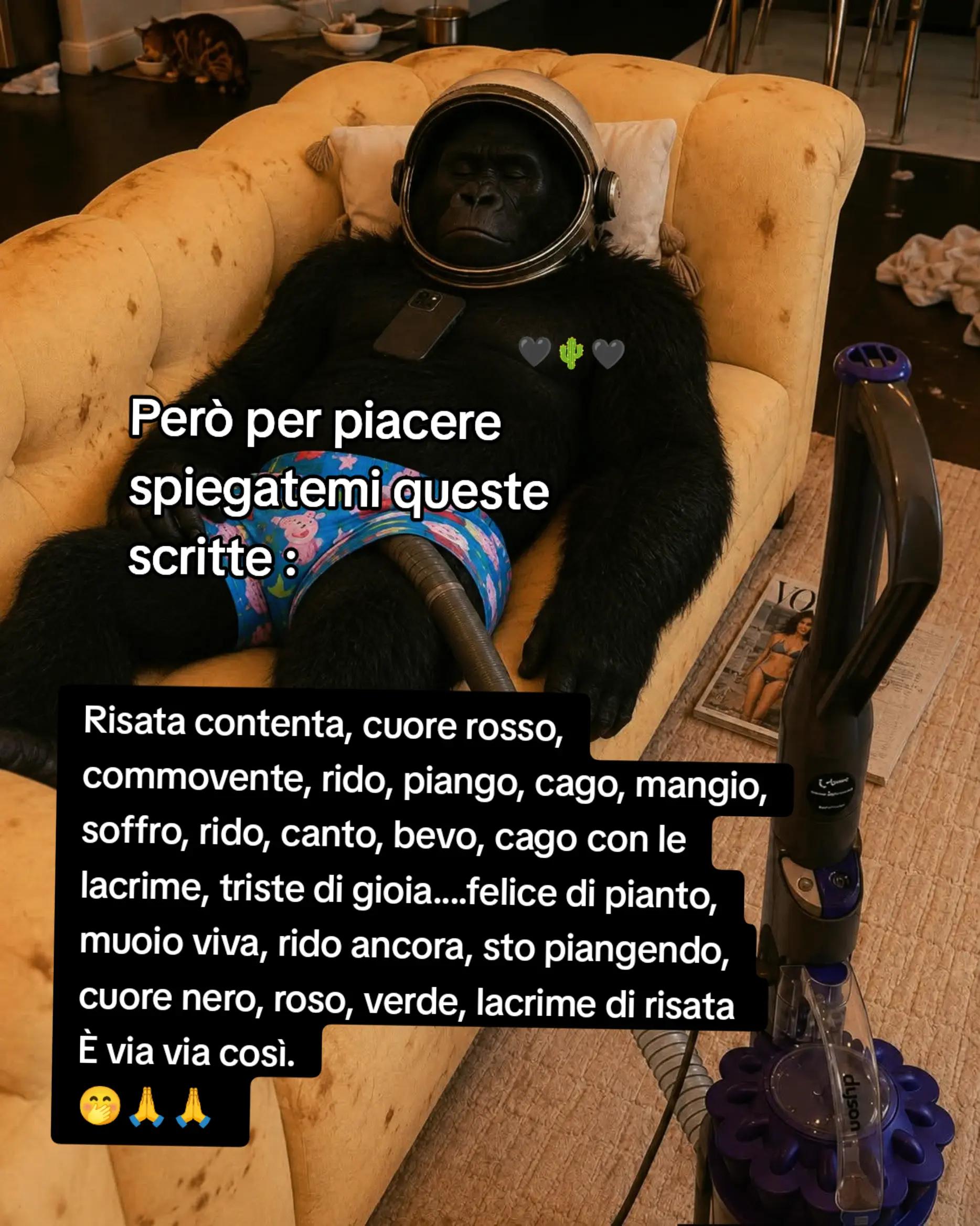 @Myself _🖤🌵_🖤¿🌵 🖤 _
