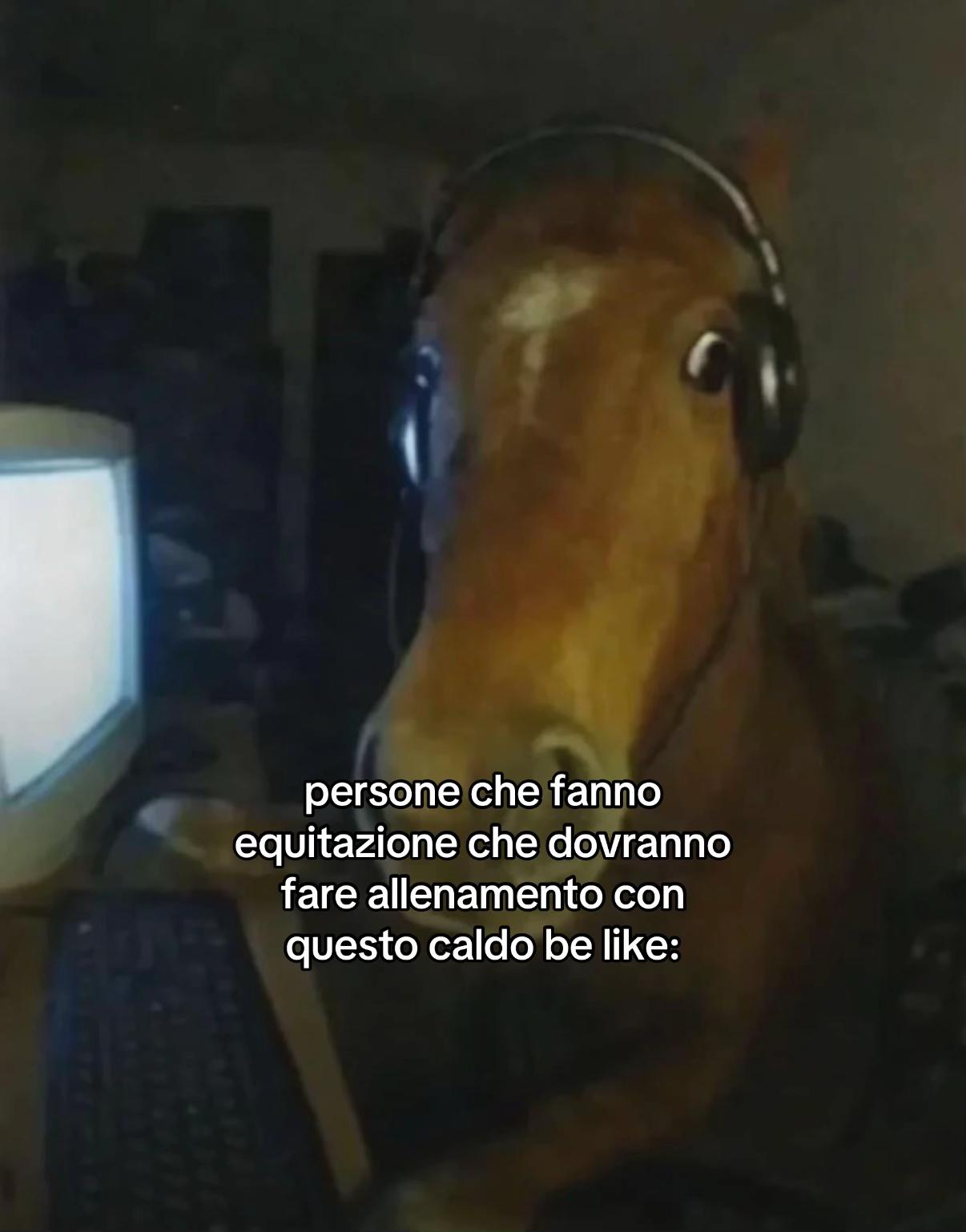 @Arianna_boiago