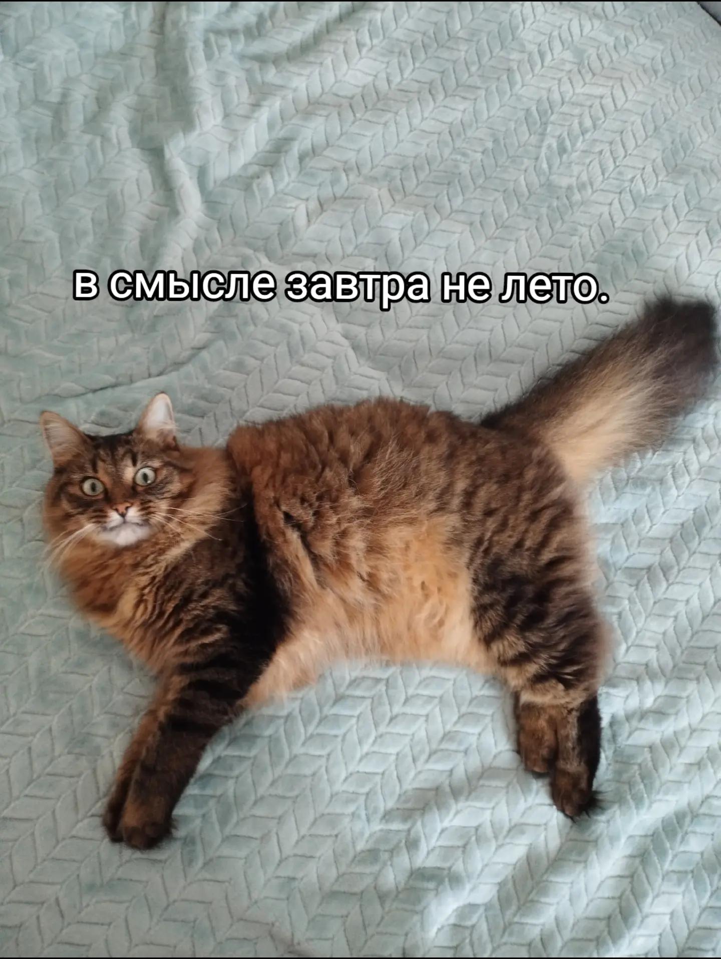 @Марсик😺💖