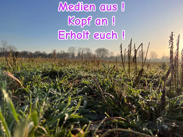 @Birkenwald74