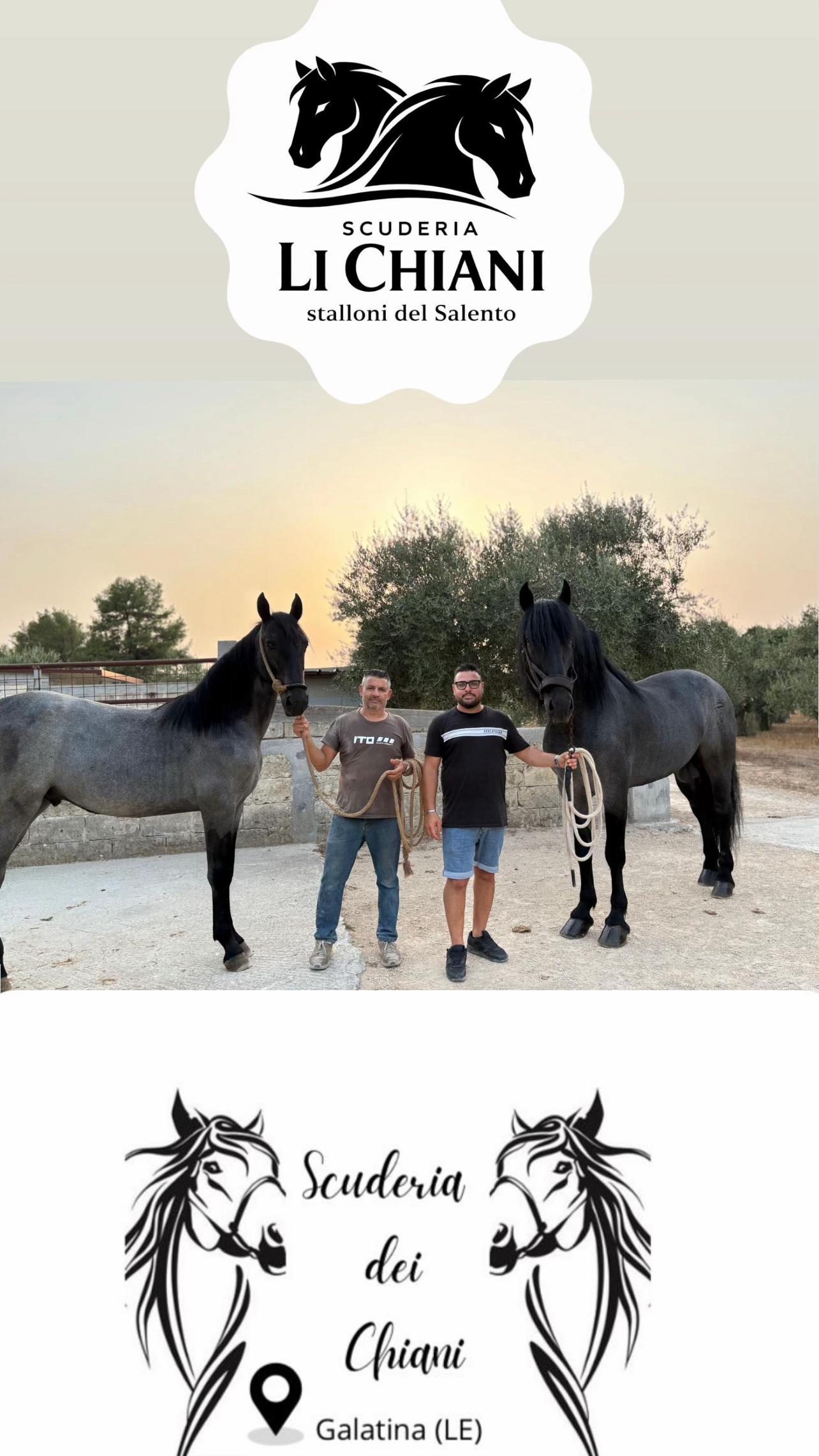@Mirko Farmer