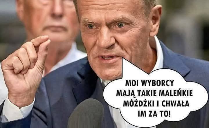 @fazolpolska