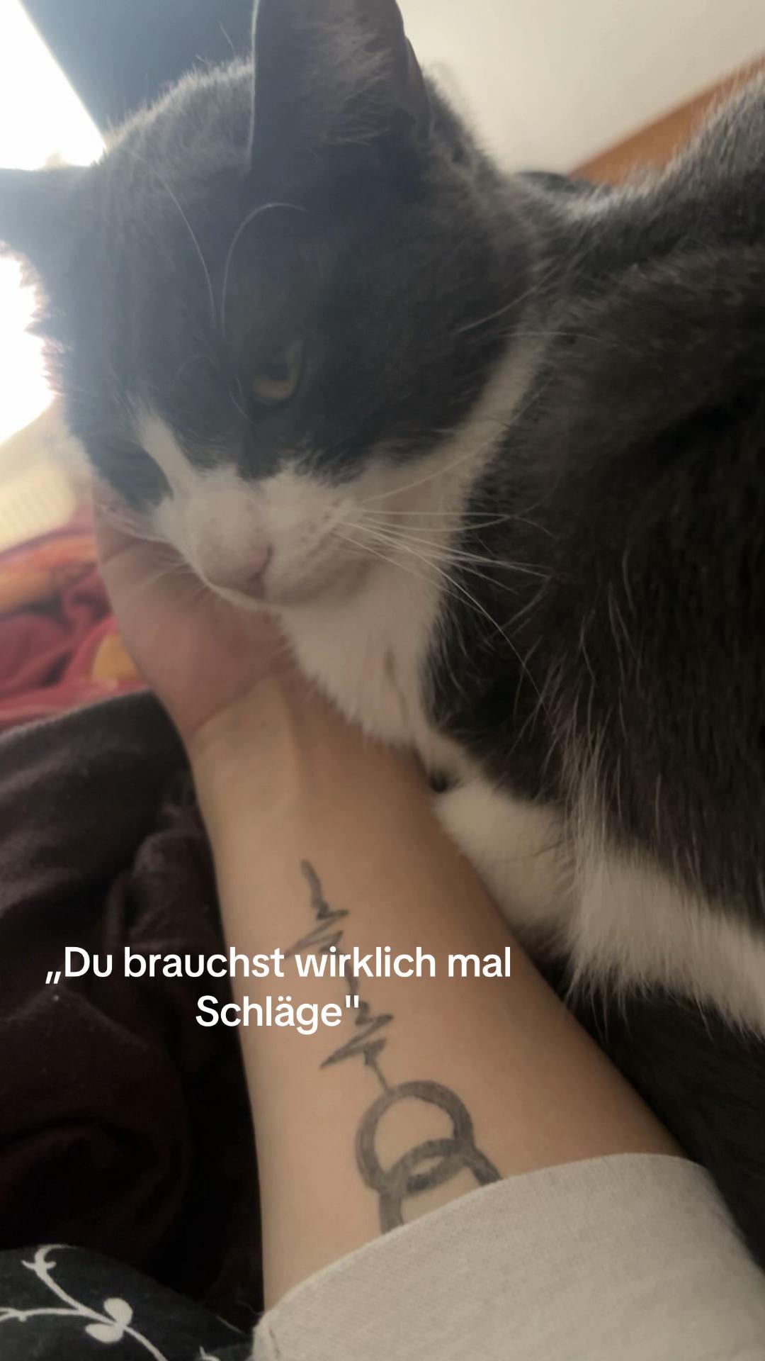 @Lina Bohling