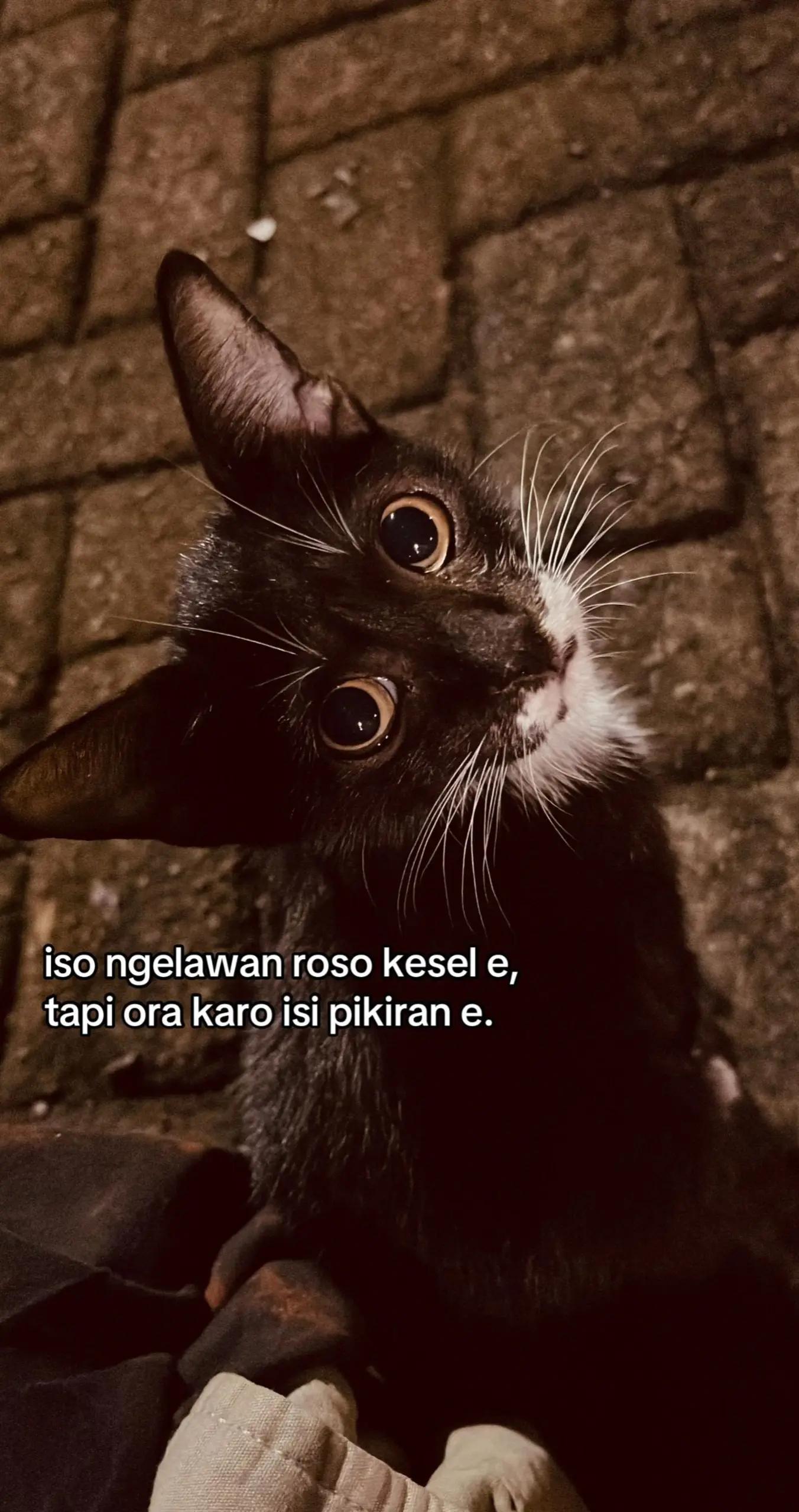 @SuperGreen_