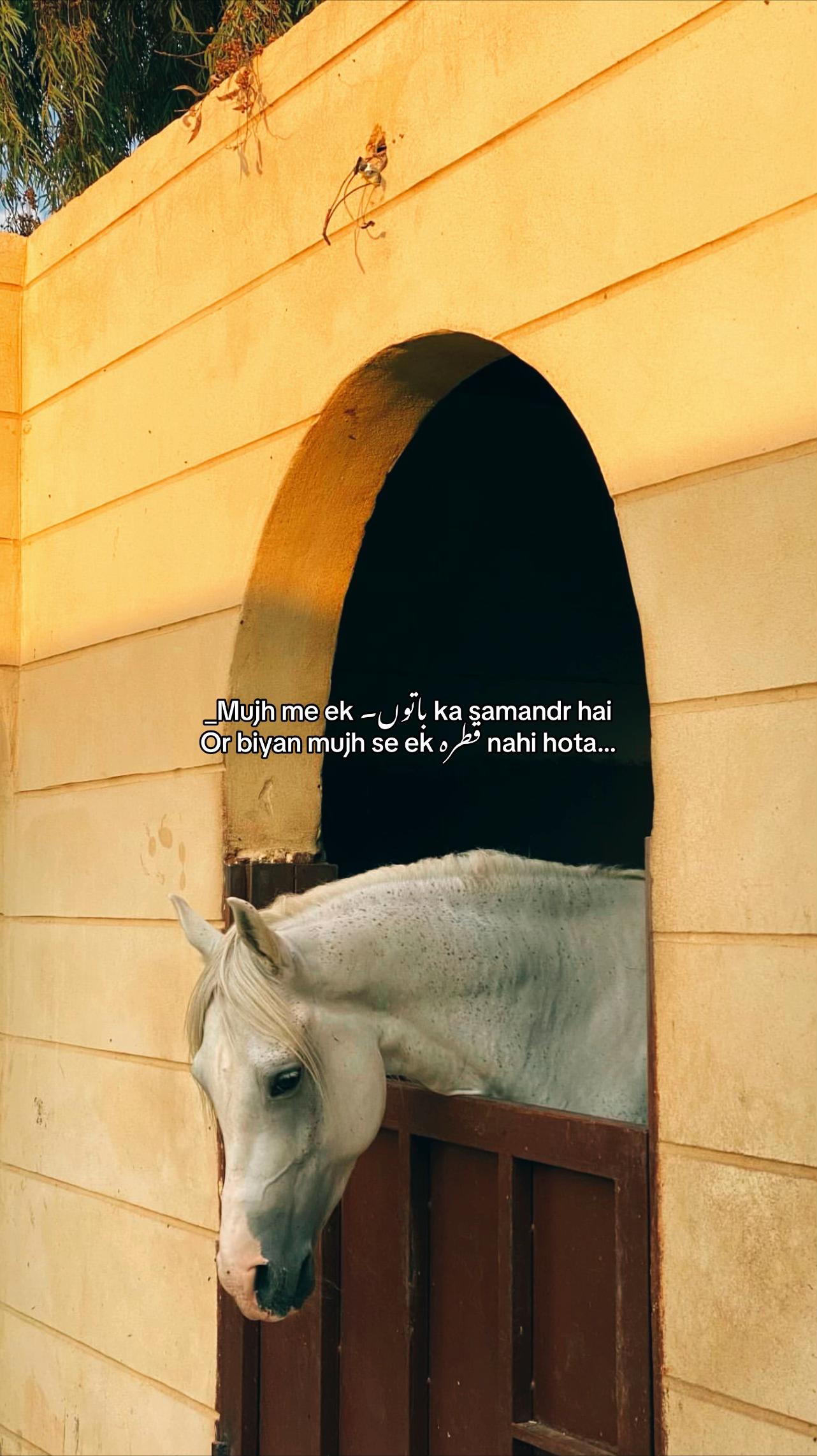 @۵ب🚩۰