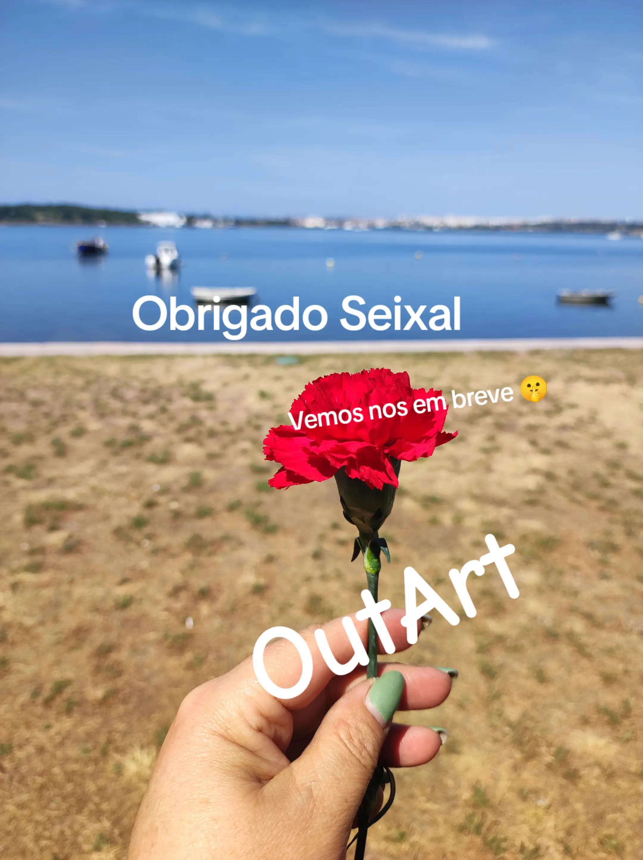 @OutArt