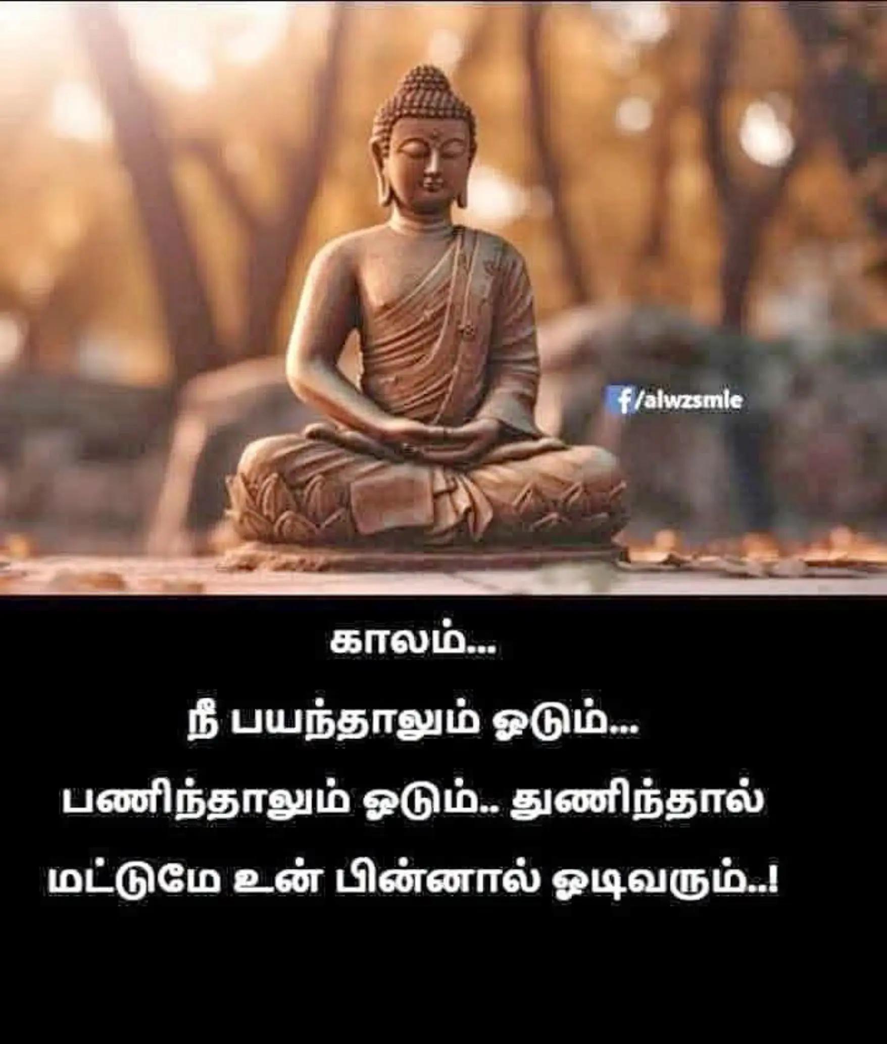 @sinna seeli