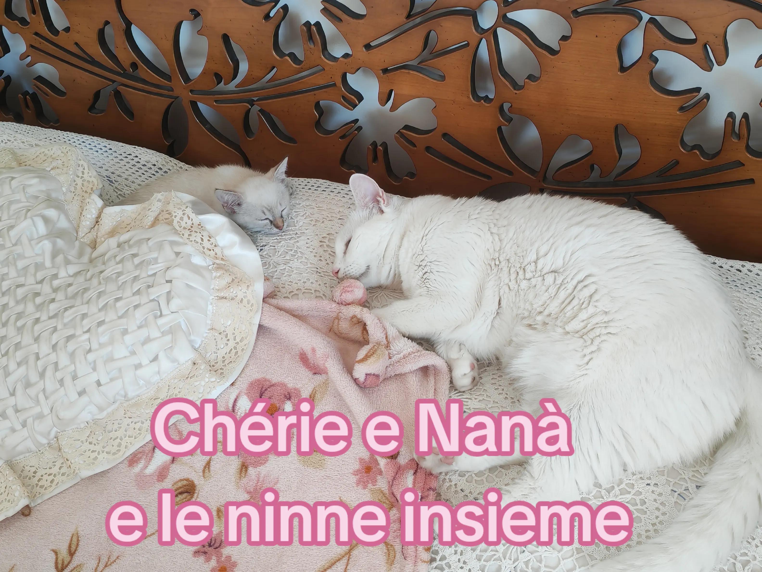 @Paola Bianchi