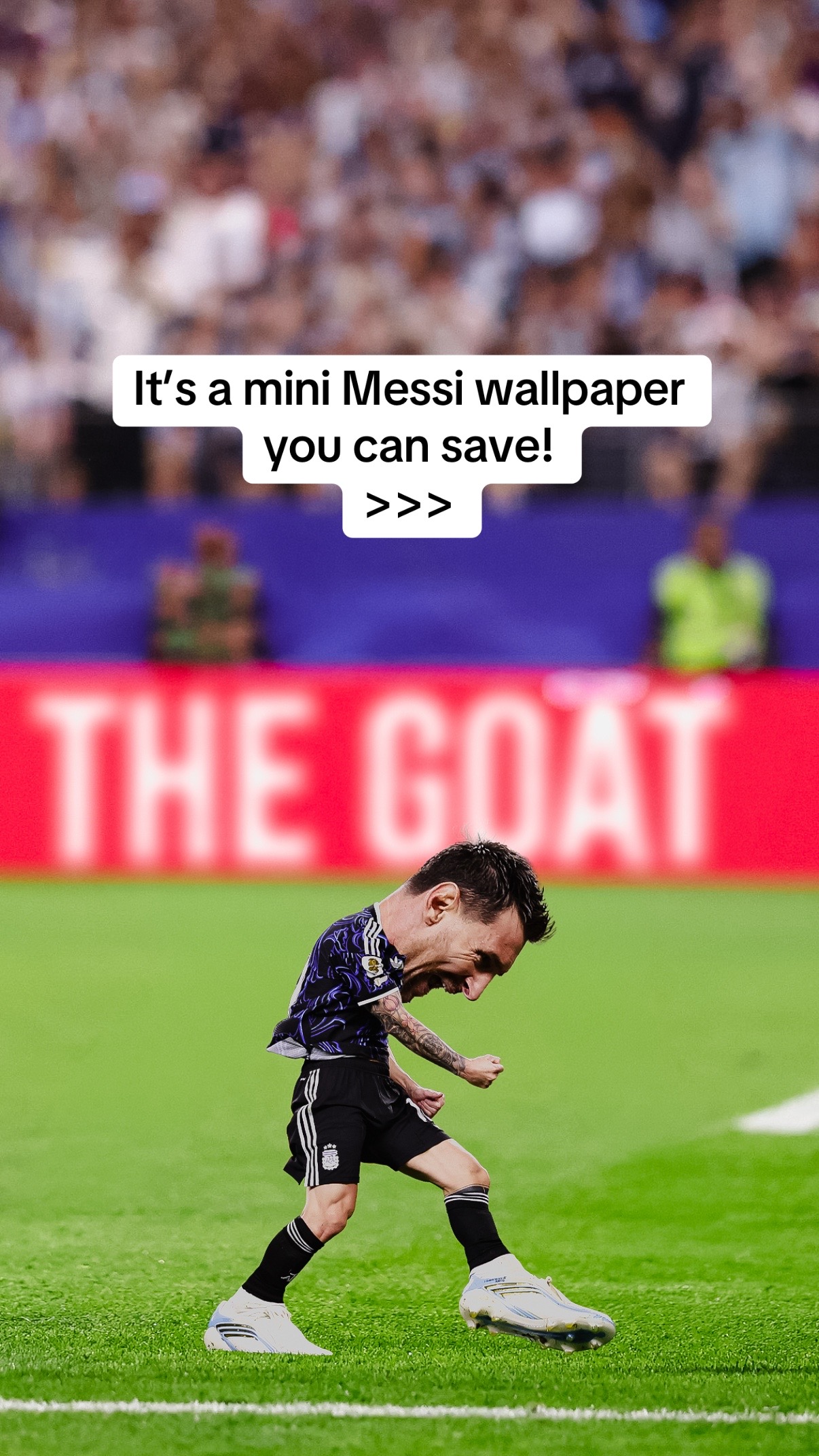 @Minifootballer_