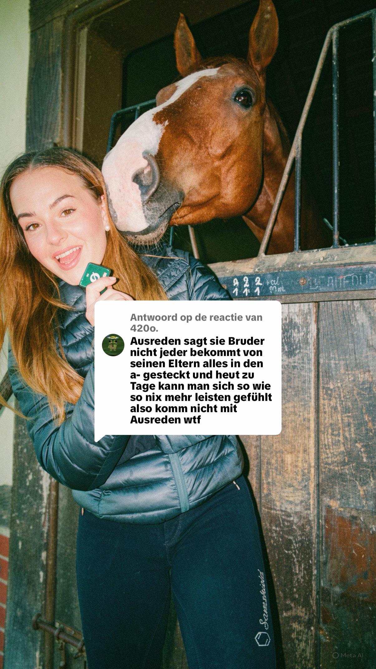 @Dailiz_horses🐴