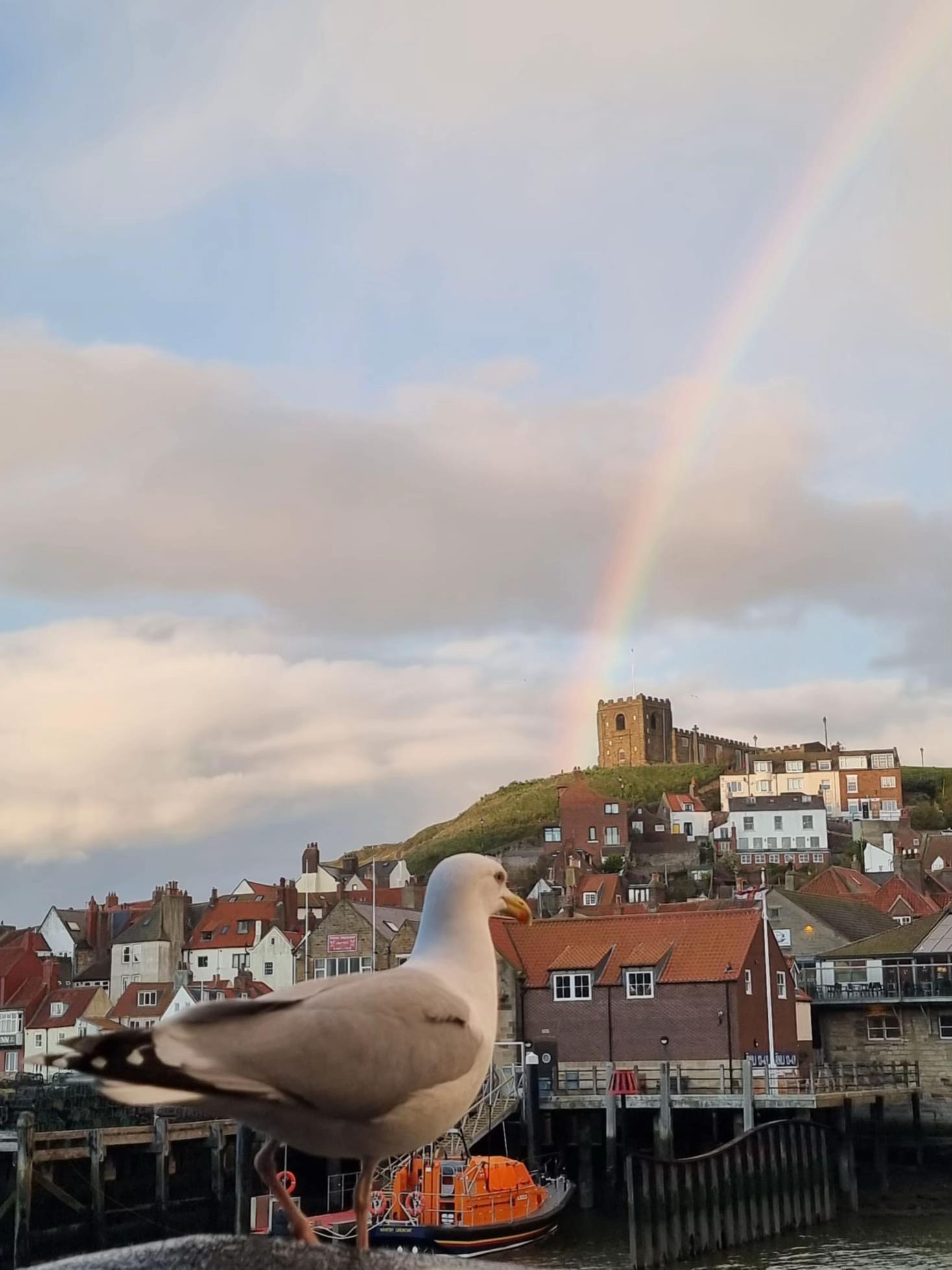 @yhawhitby