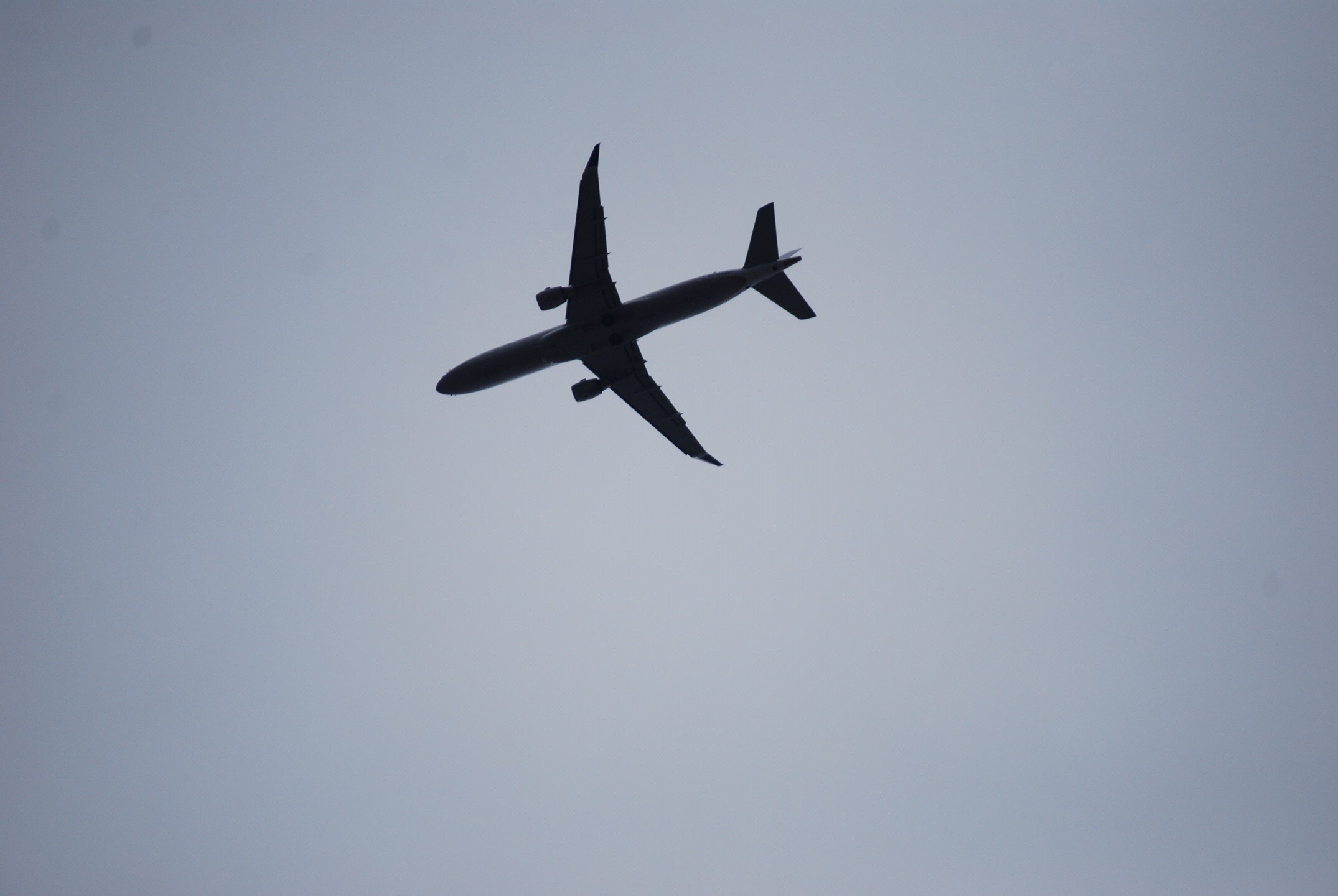 @Flying with me