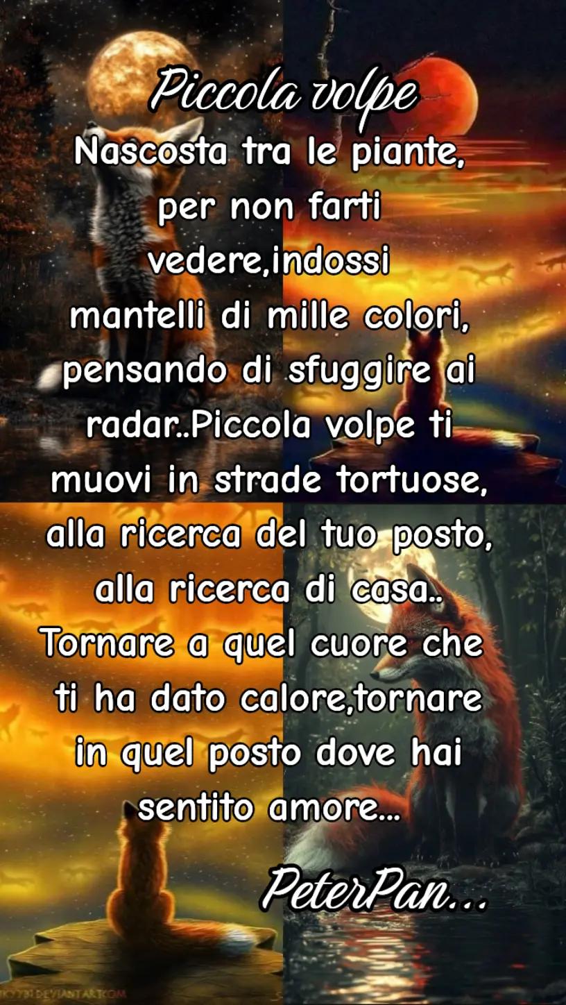 @PeterPan