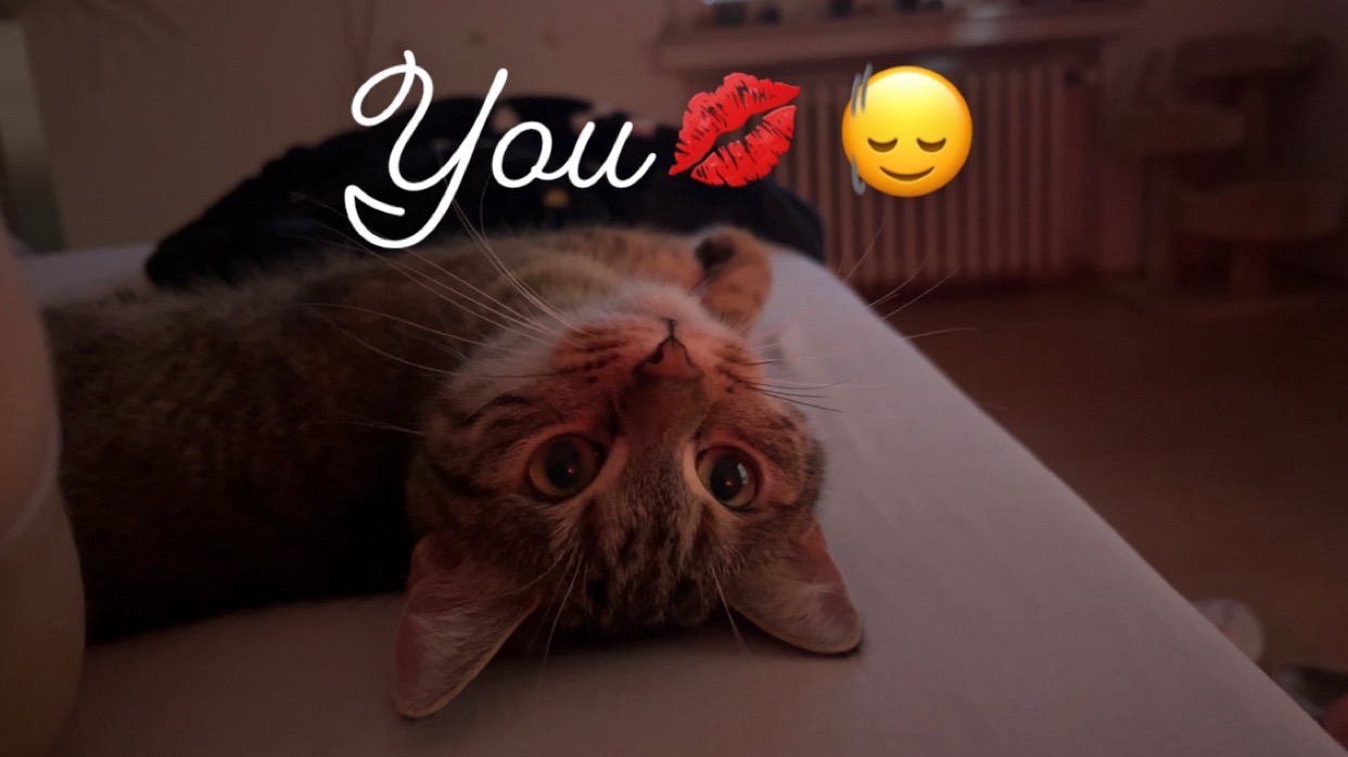 @Cece❤