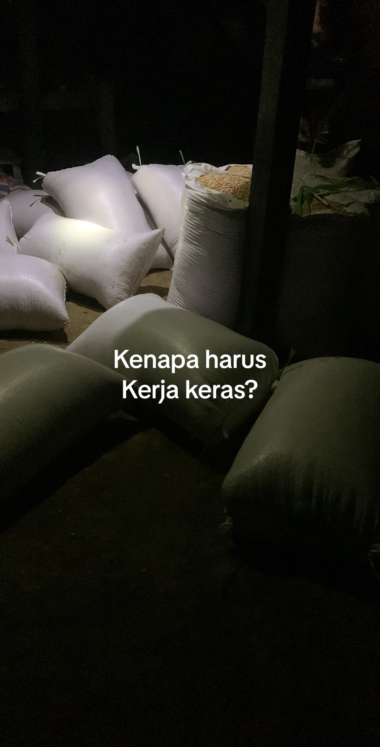 @Kopi susu