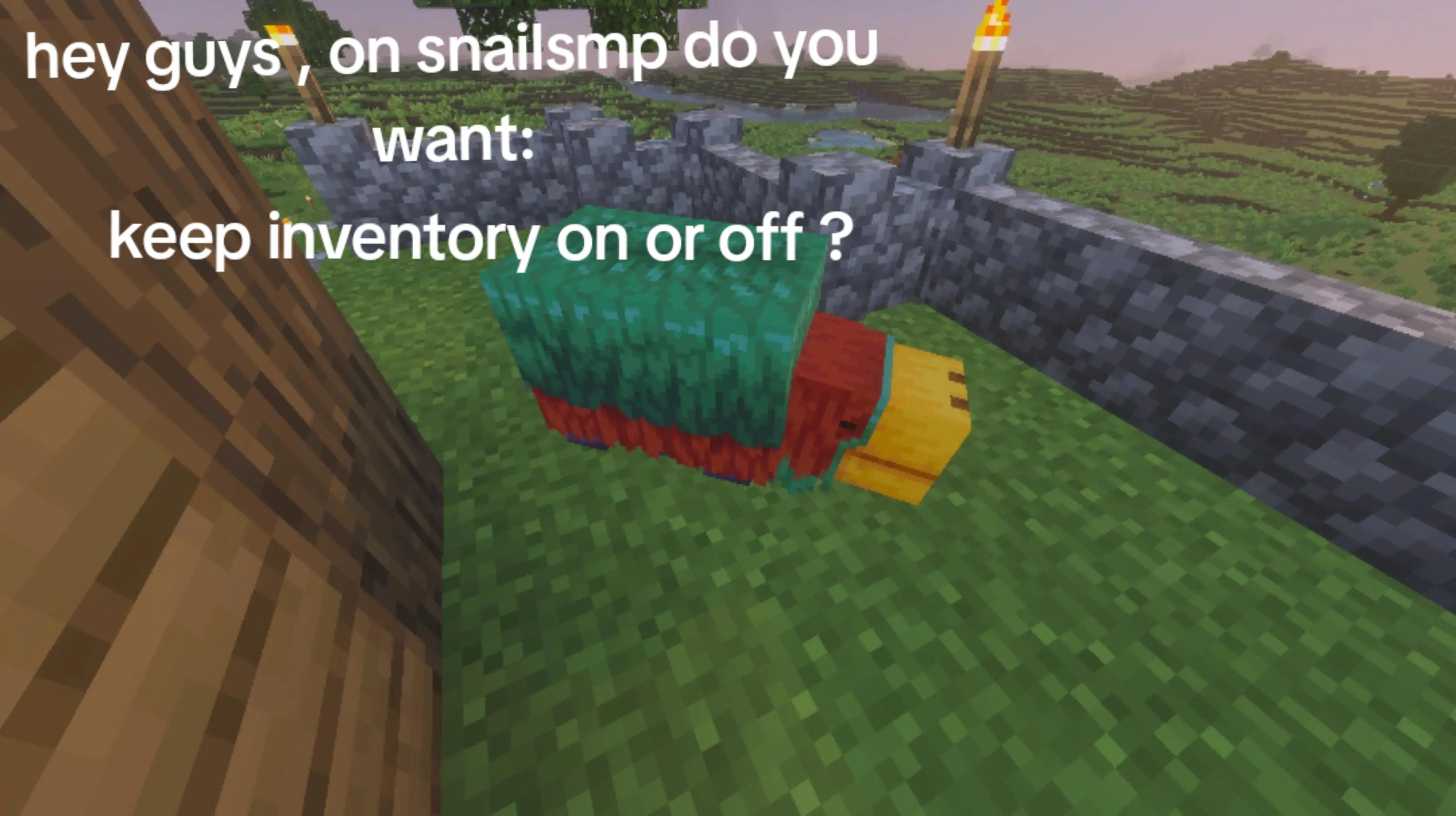 @SnailSMP