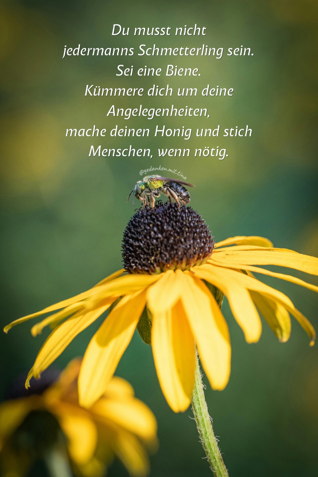 @@gedanken.mit.tina 🖋️