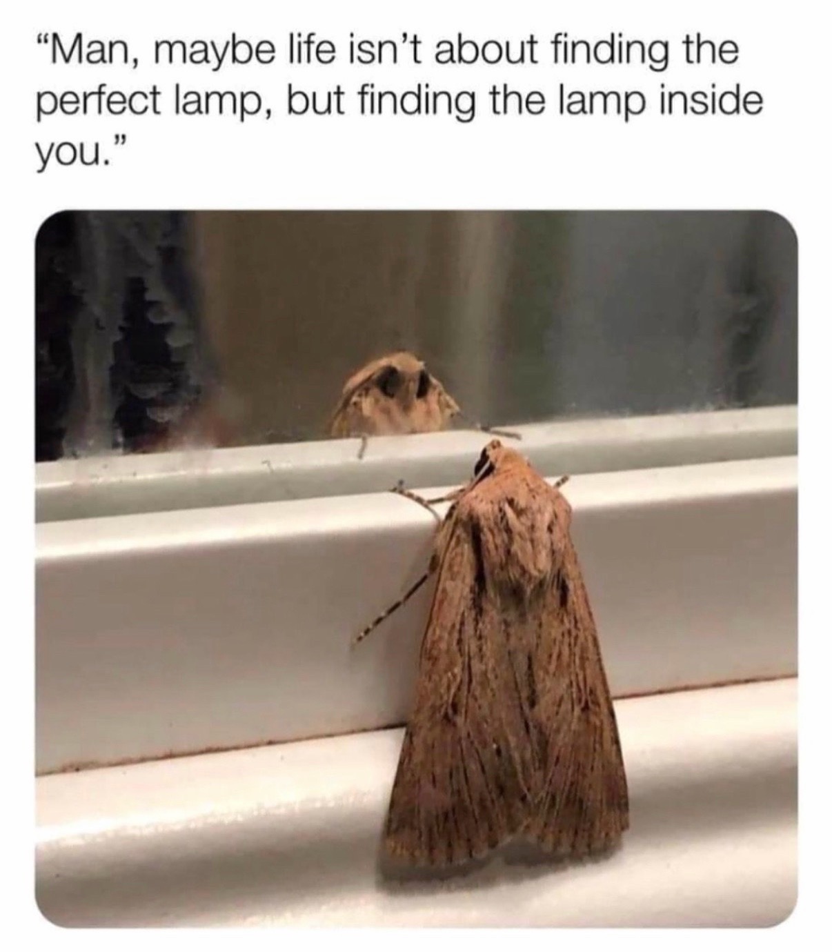 @Zach
