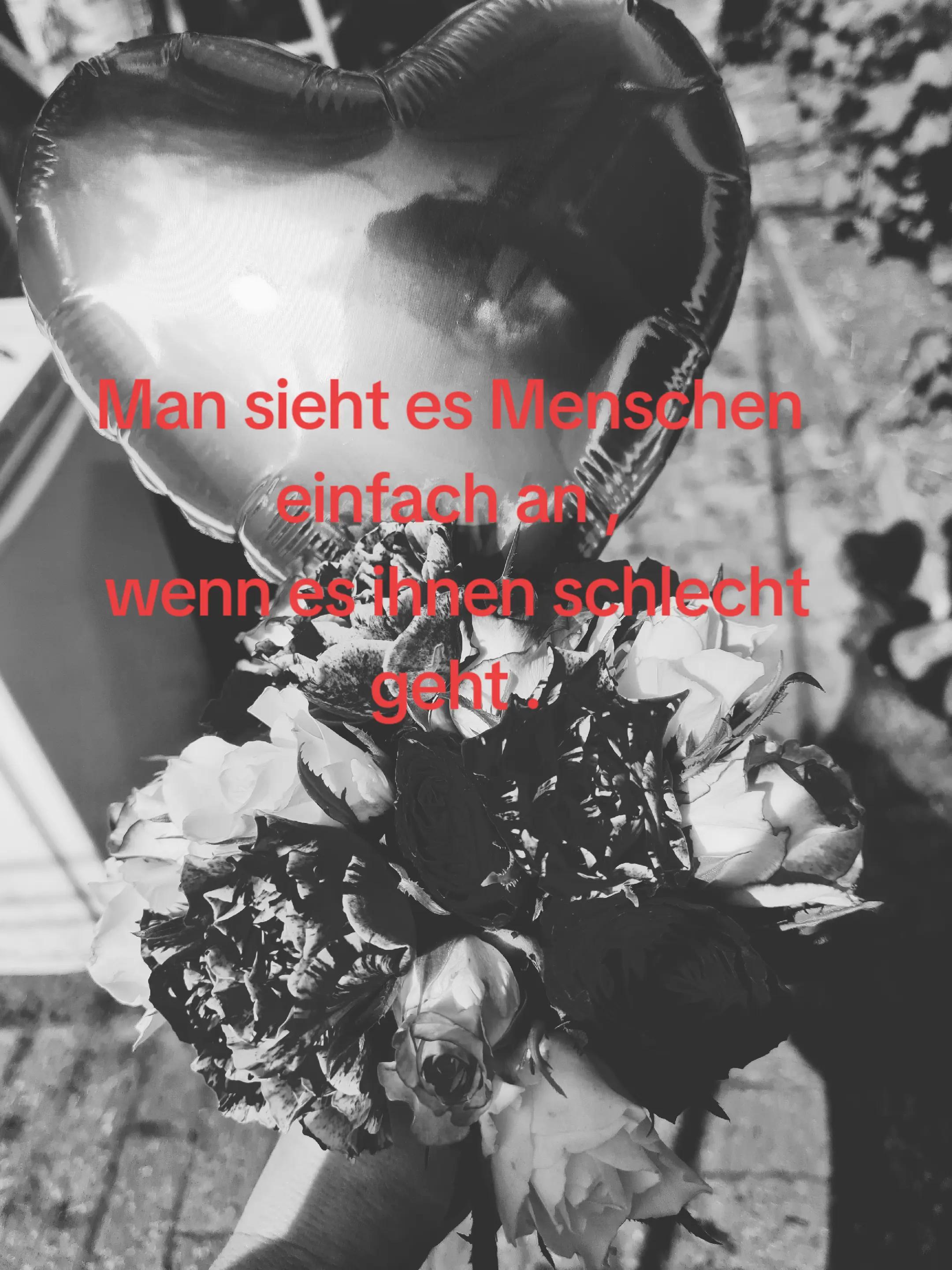 @Sandra.Wie.